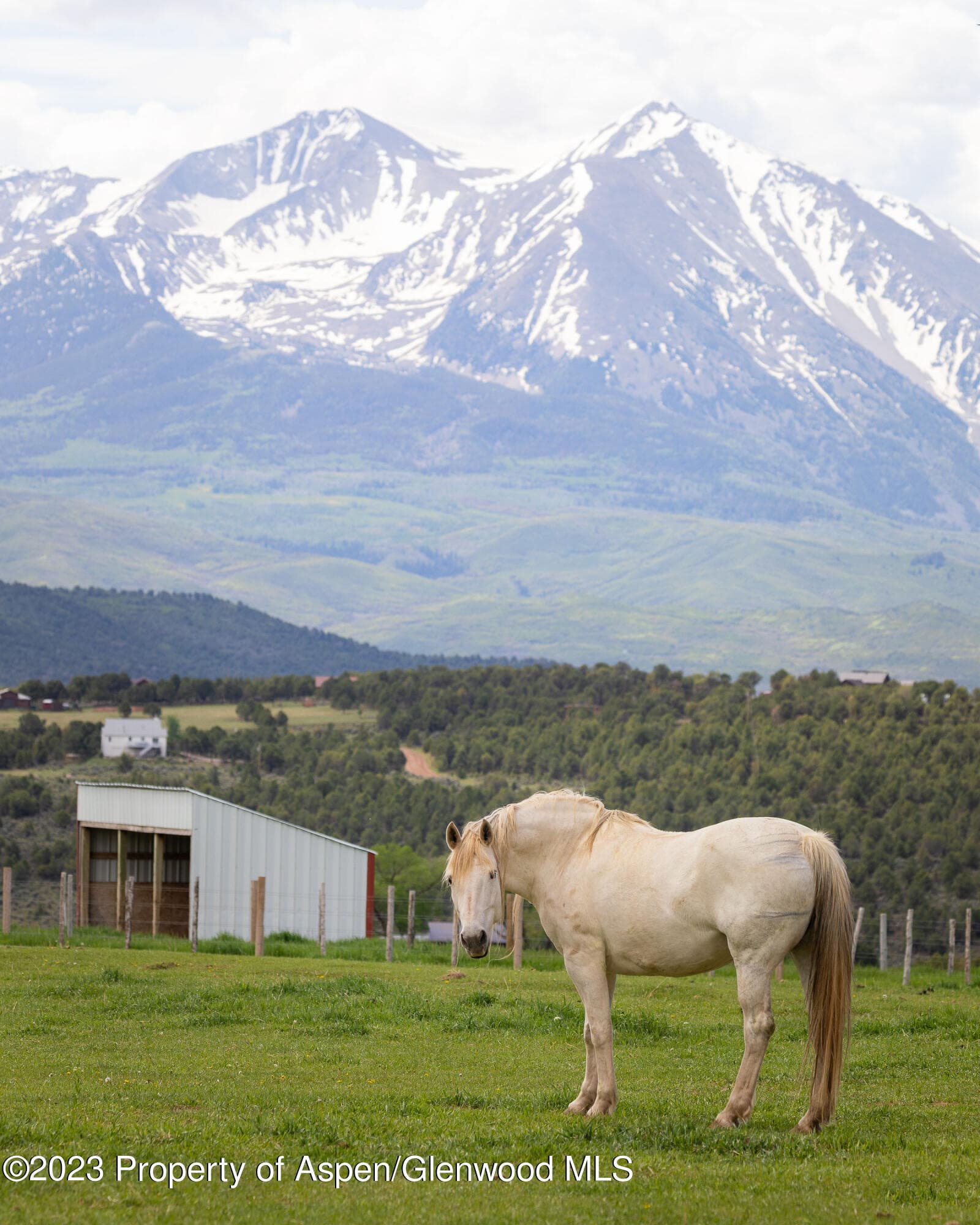 1900 Co Rd 103, Carbondale, CO 81623 - Photo 32