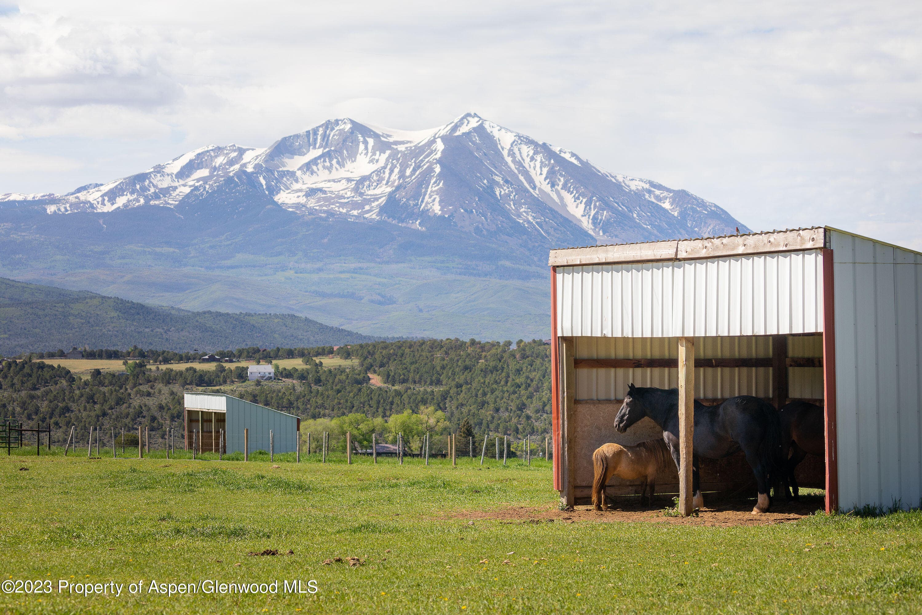 1900 Co Rd 103, Carbondale, CO 81623 - Photo 40