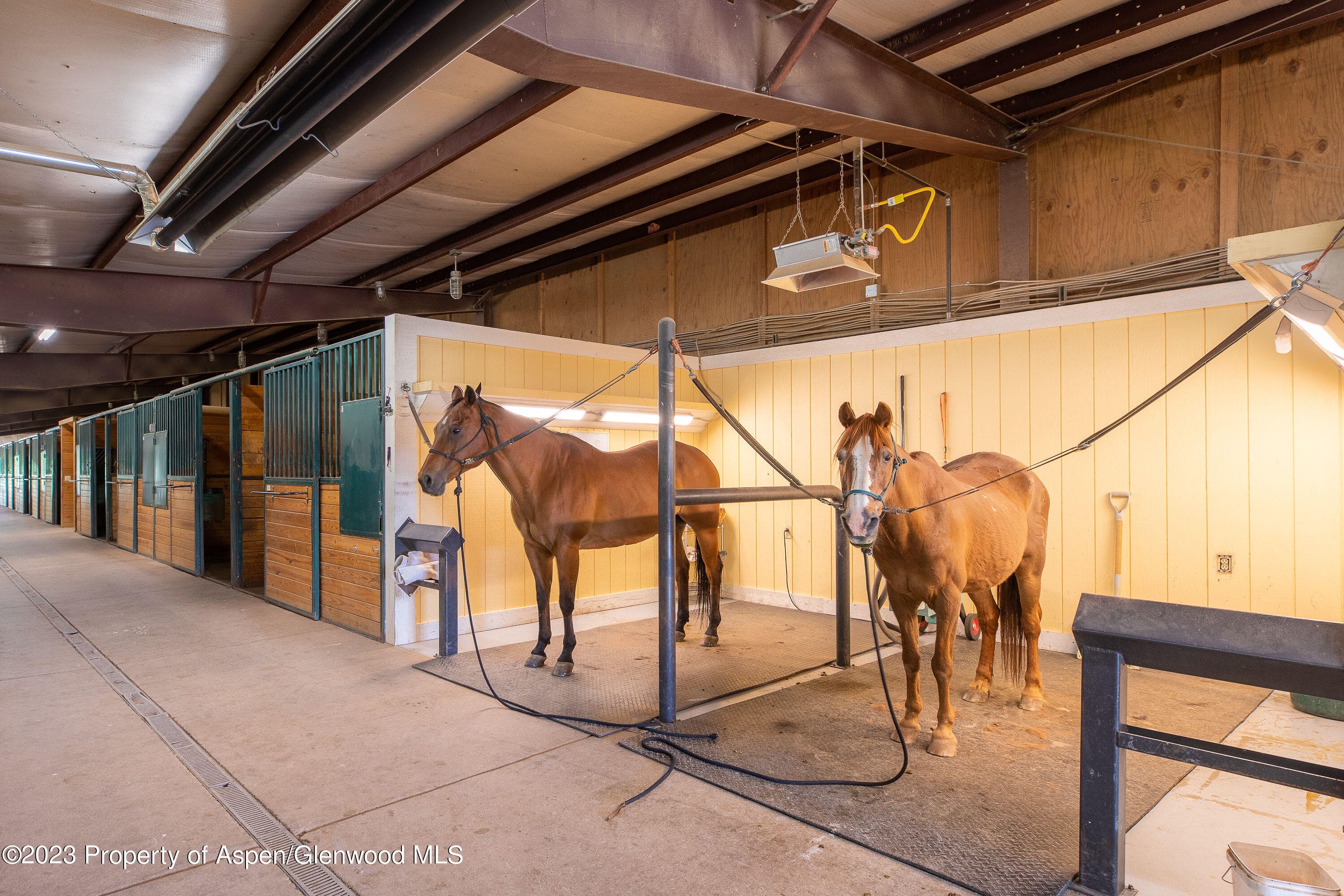 1900 Co Rd 103, Carbondale, CO 81623 - Photo 44