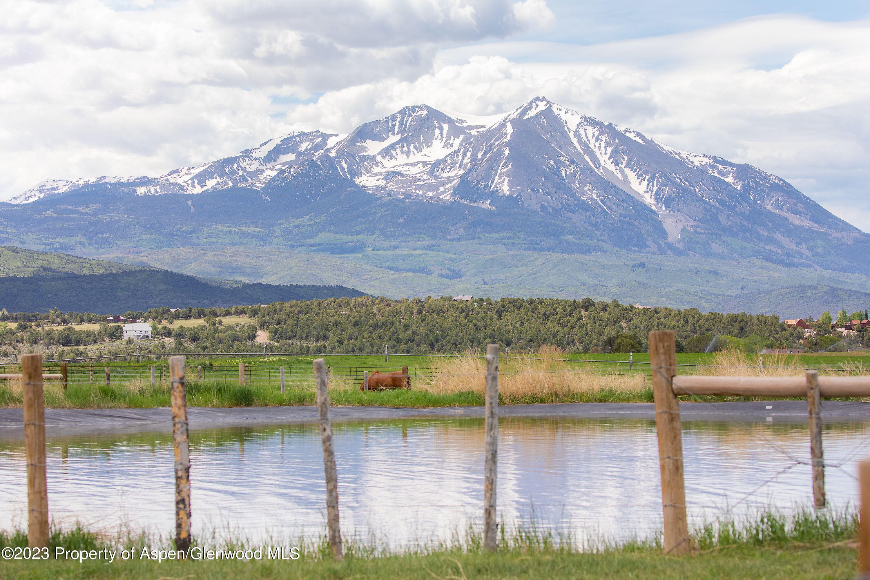 1900 Co Rd 103, Carbondale, CO 81623 - Photo 59