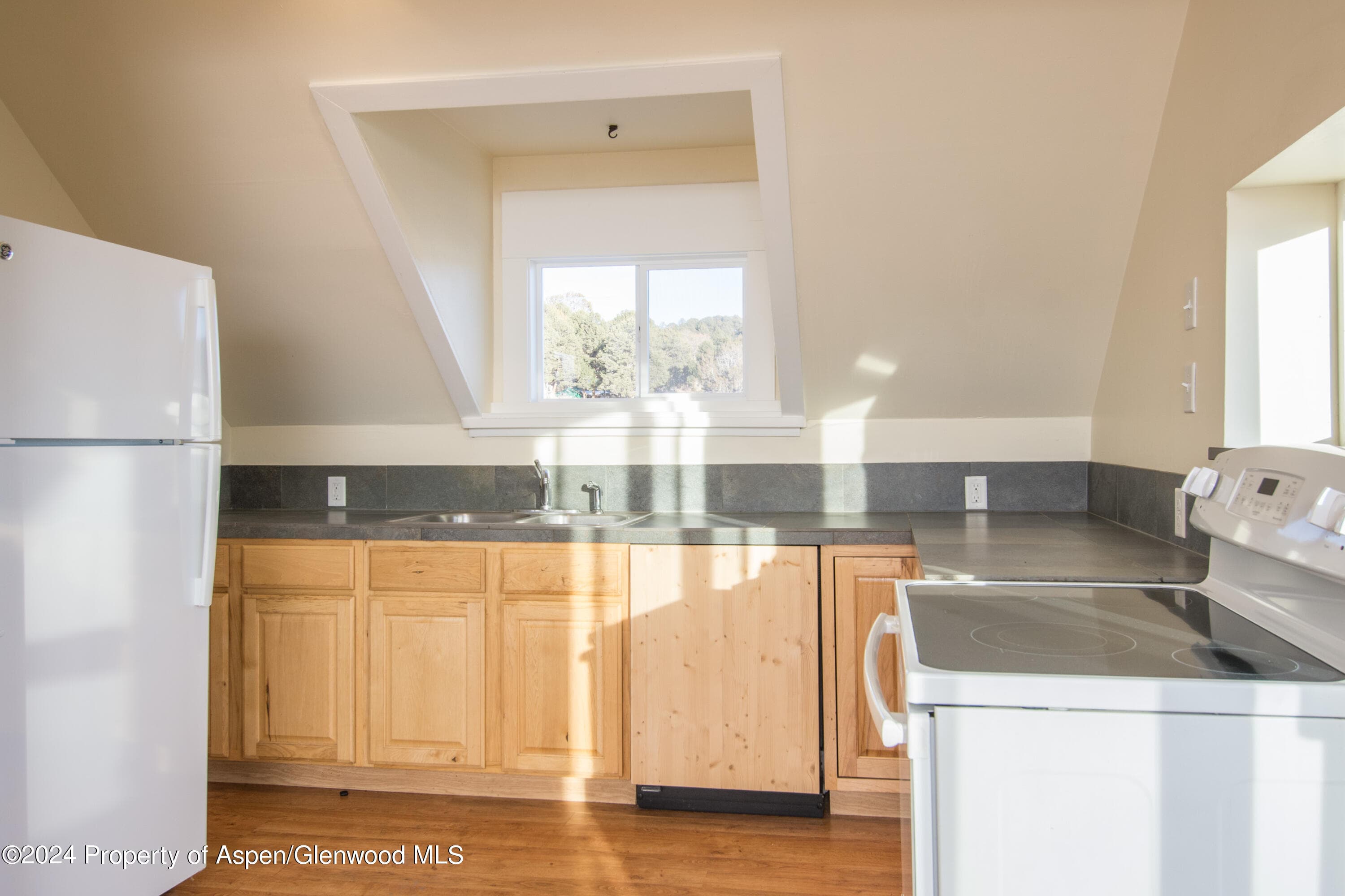 1900 Co Rd 103, Carbondale, CO 81623 - Photo 82