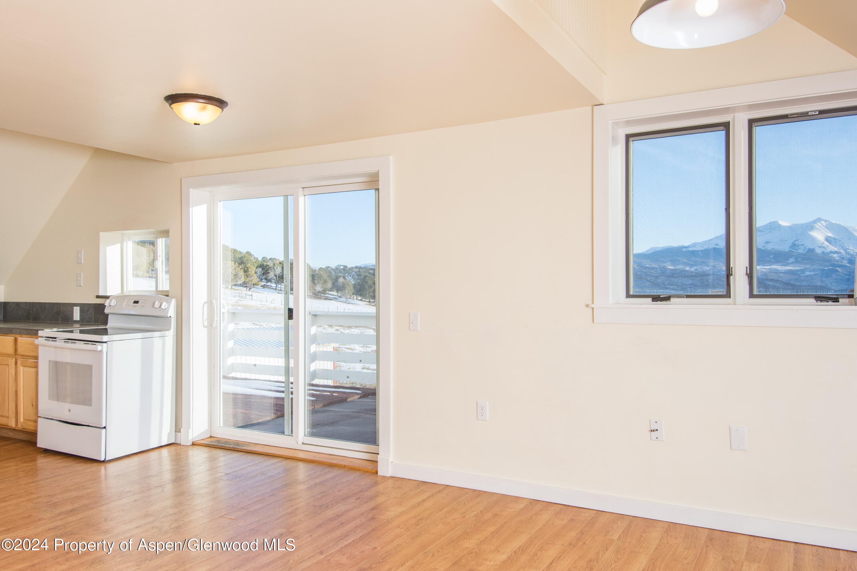 1900 Co Rd 103, Carbondale, CO 81623 - Photo 83