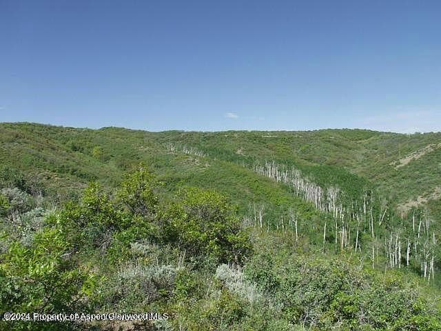 0 Rabbit Way, Snowmass, CO 81654 - Photo 9