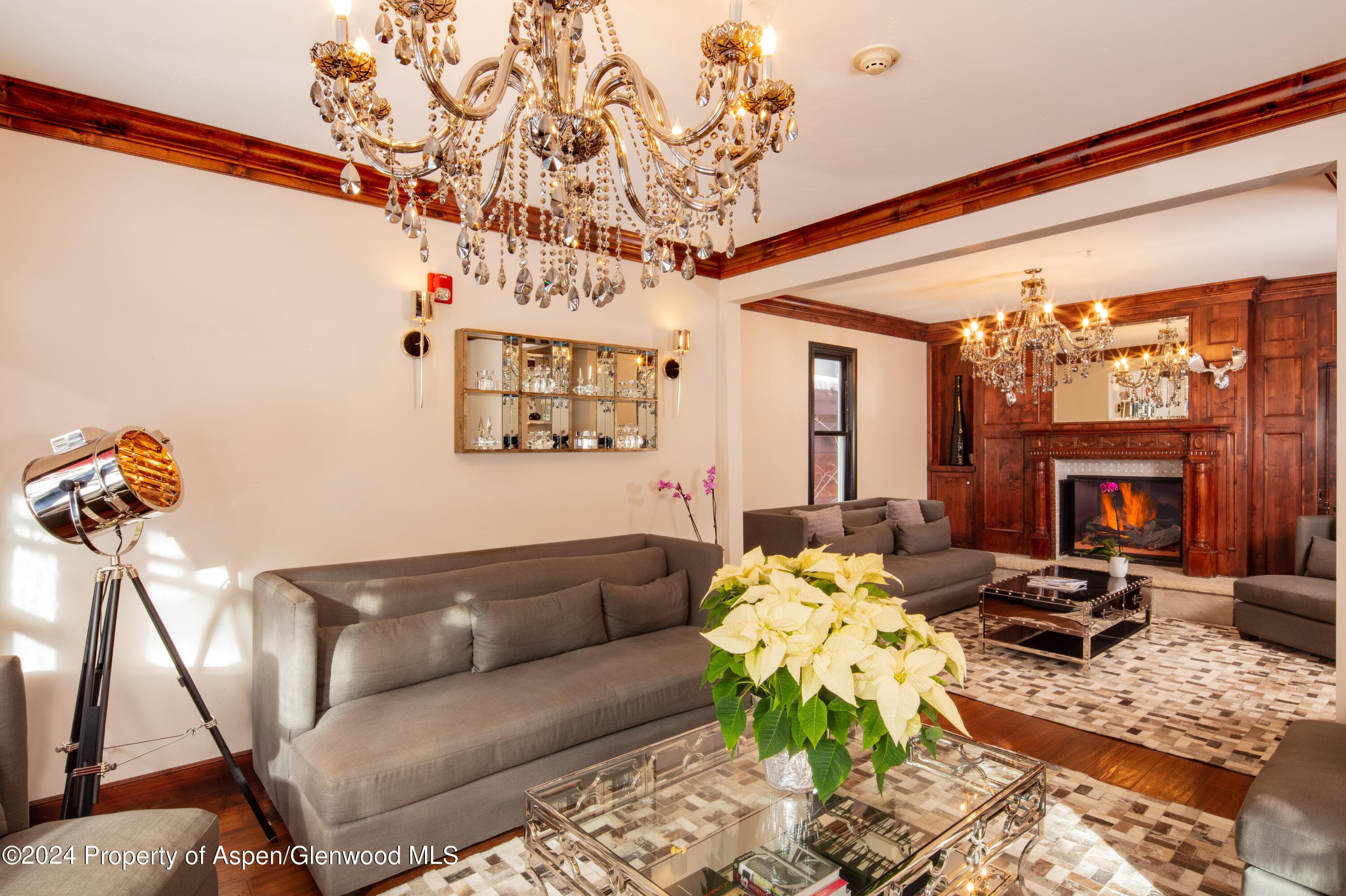 118 E Cooper Avenue, Aspen, CO 81611 - Photo 2
