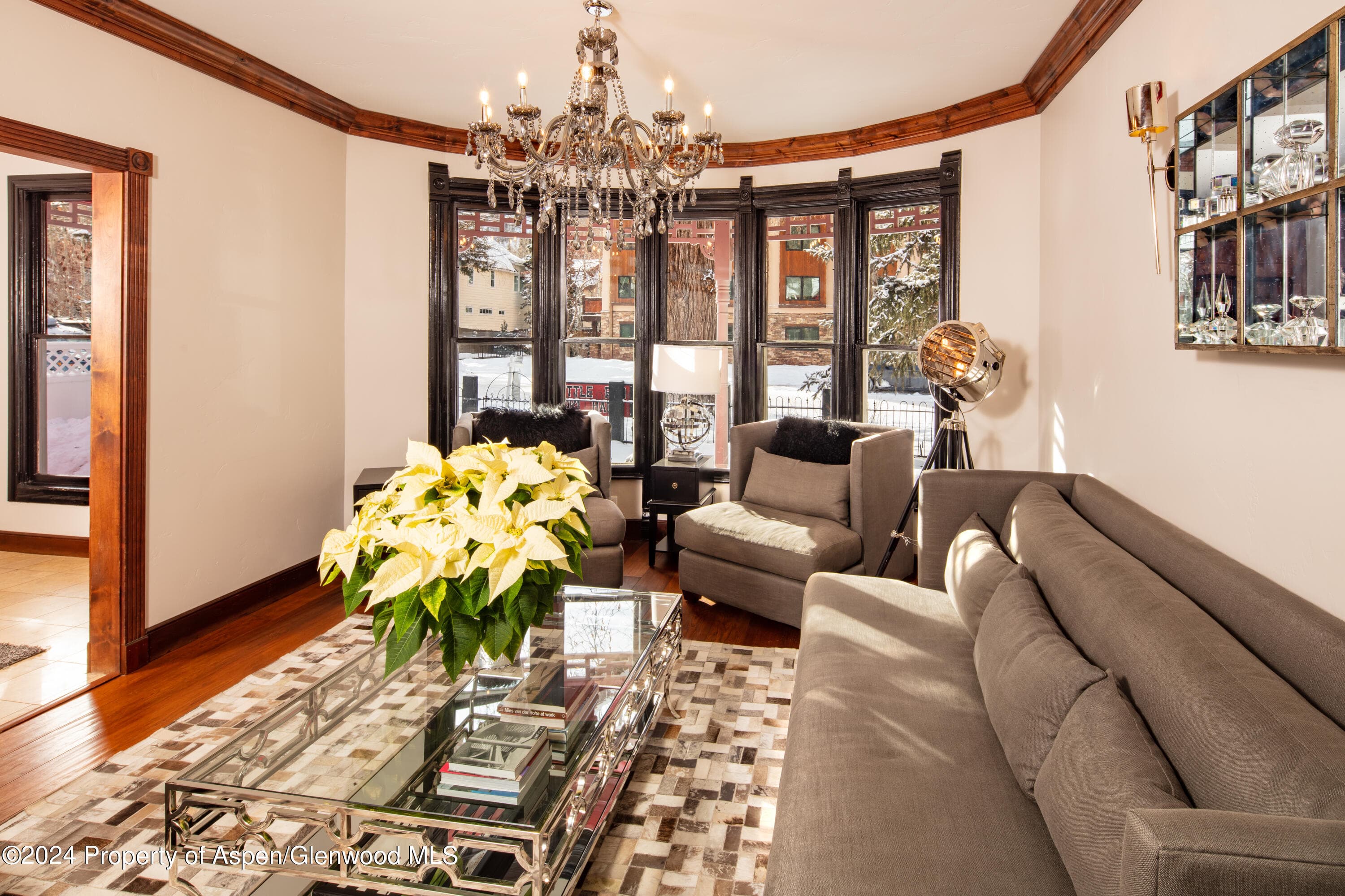 118 E Cooper Avenue, Aspen, CO 81611 - Photo 4