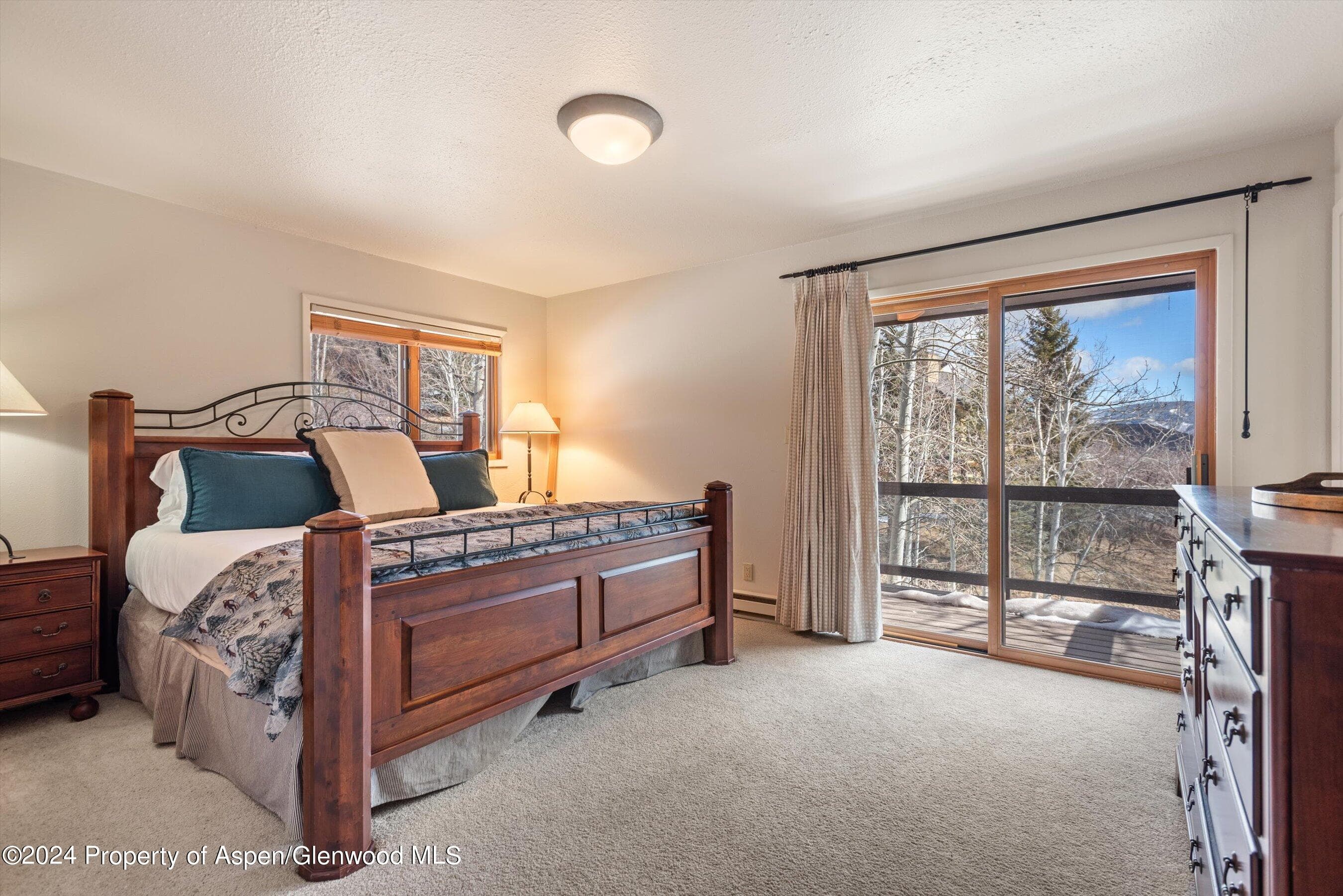 92 Wildridge Lane, Snowmass Village, CO 81615 - Photo 17
