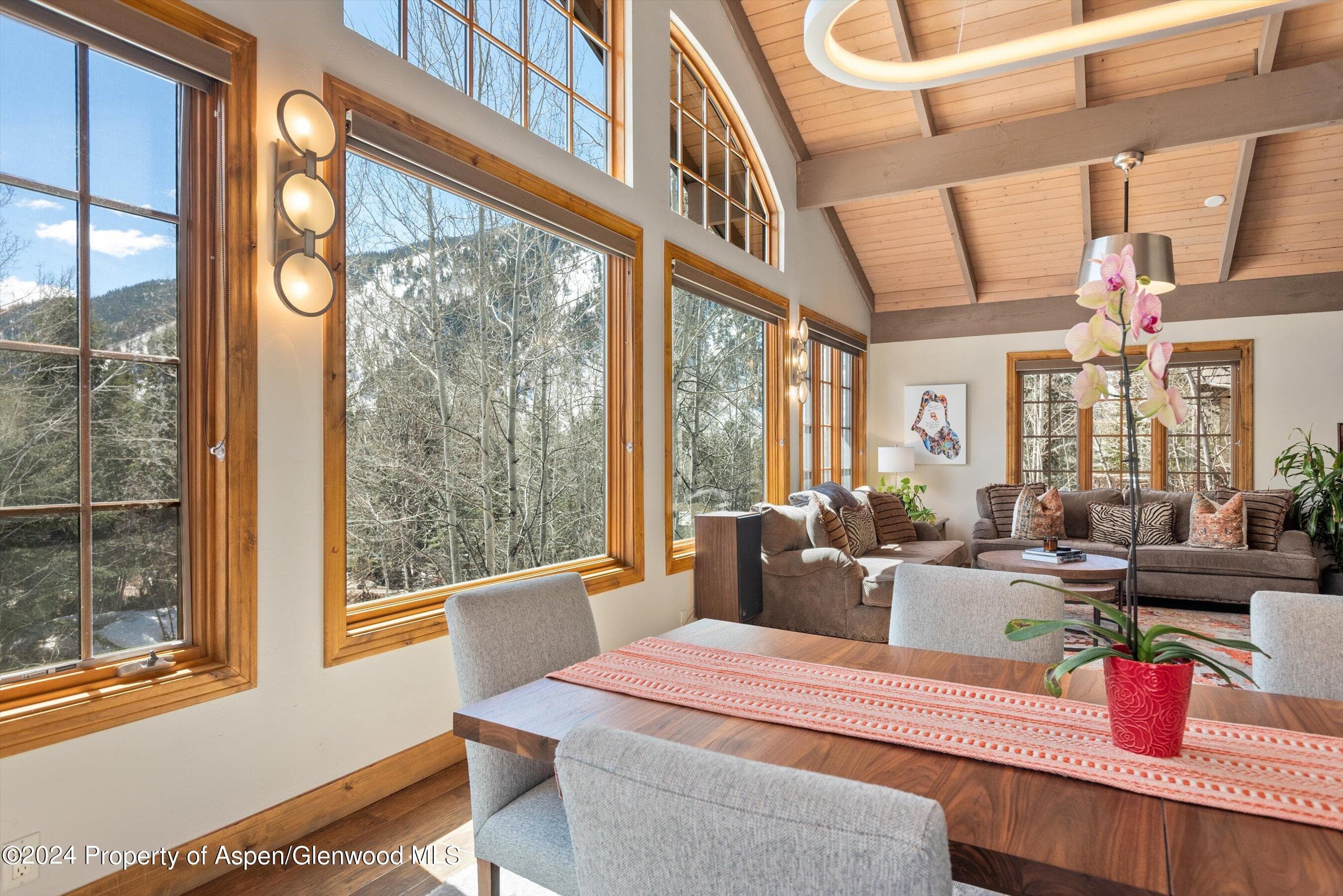 64 Eastwood Drive, Aspen, CO 81611 - Photo 9