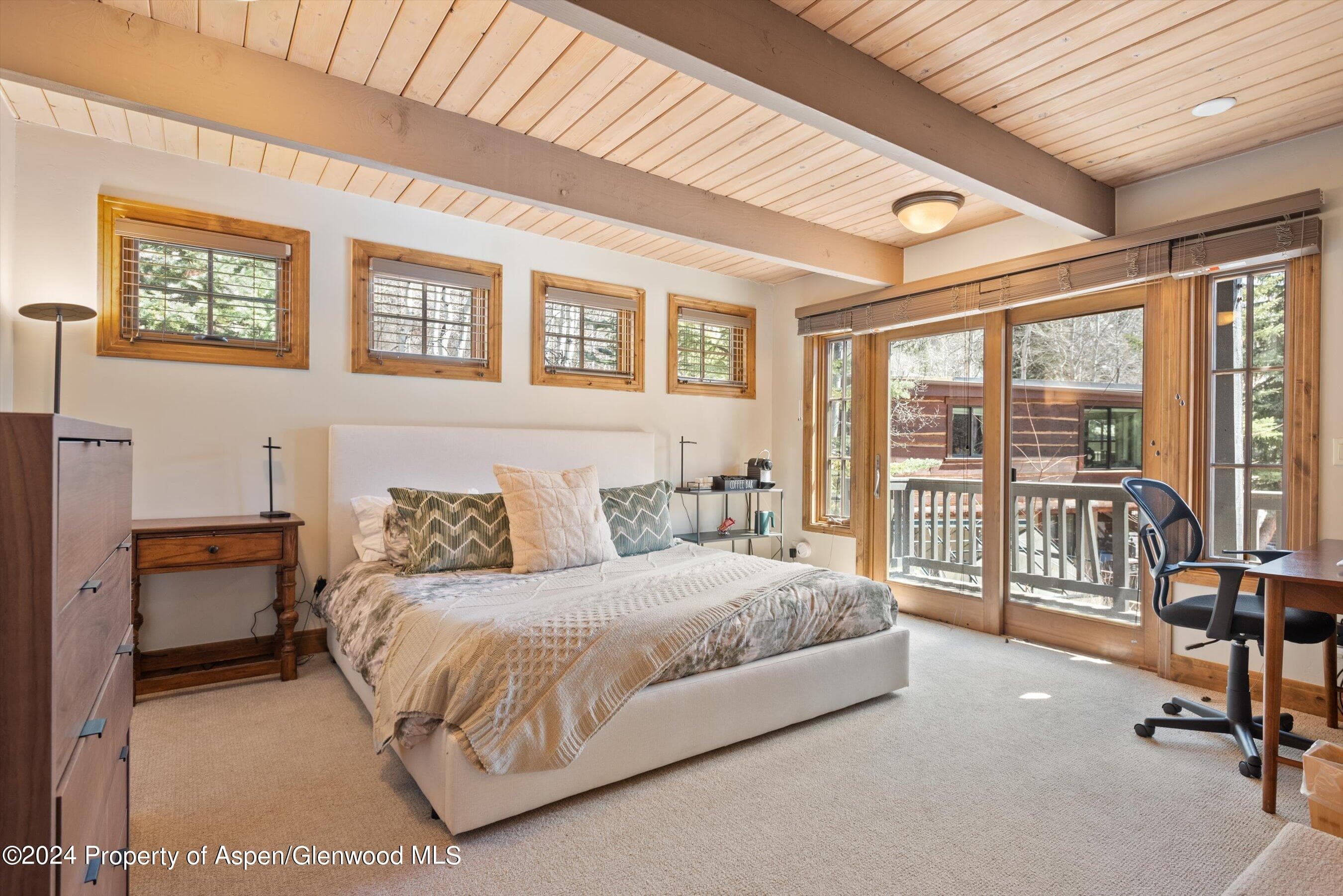 64 Eastwood Drive, Aspen, CO 81611 - Photo 21