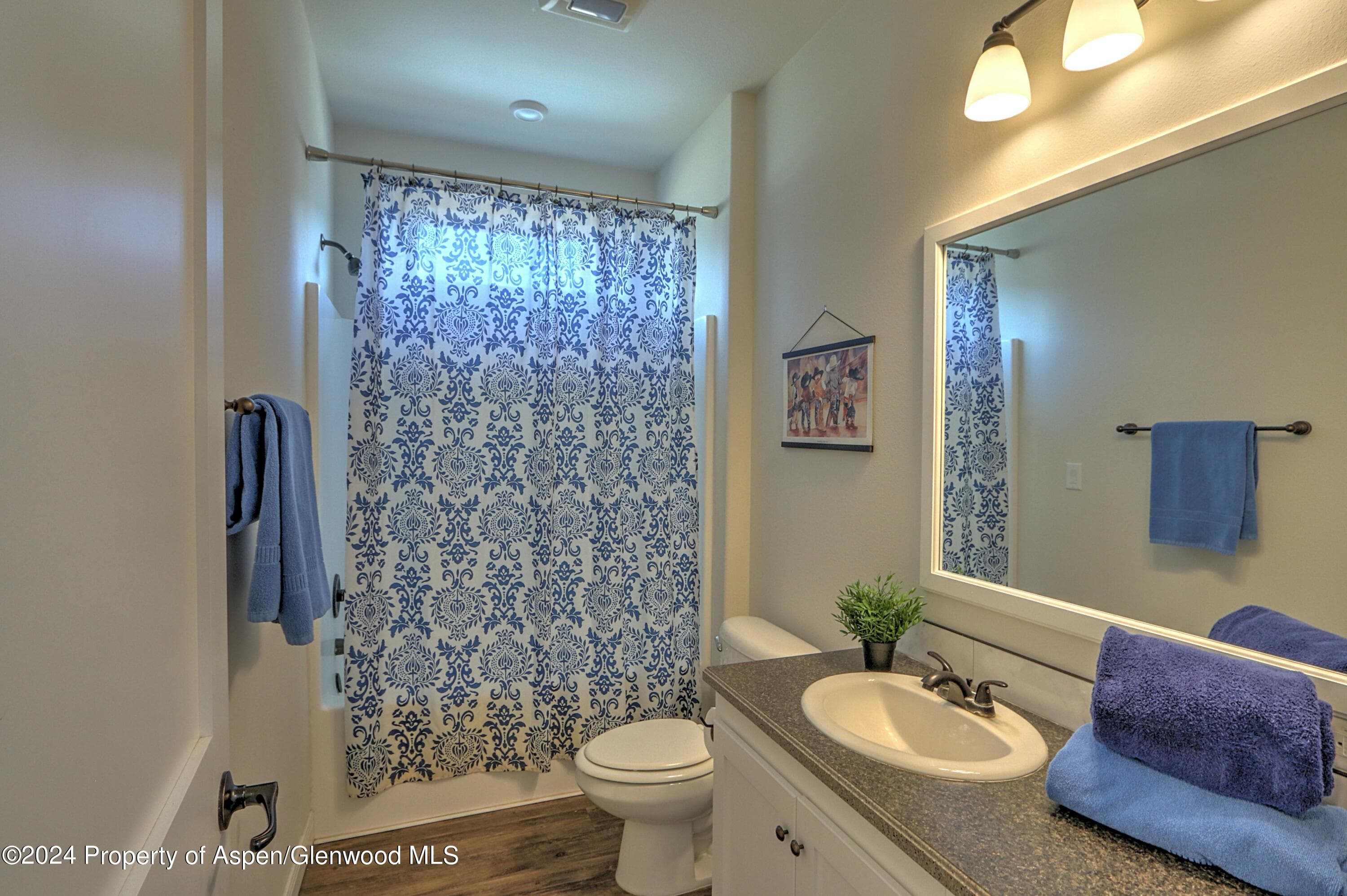 227 Lava Drive, ElJebel, CO 81623 - Photo 14