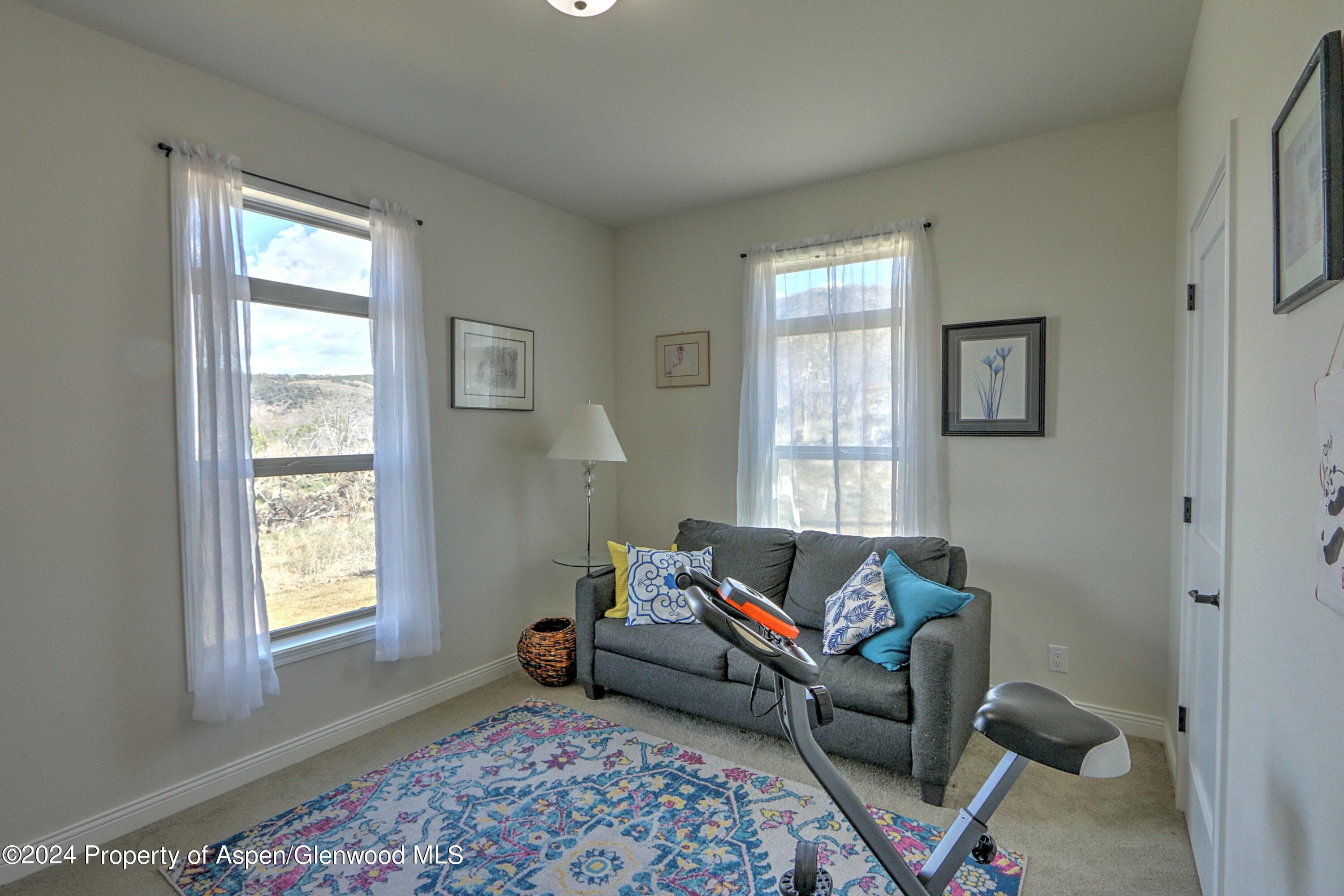 227 Lava Drive, ElJebel, CO 81623 - Photo 13