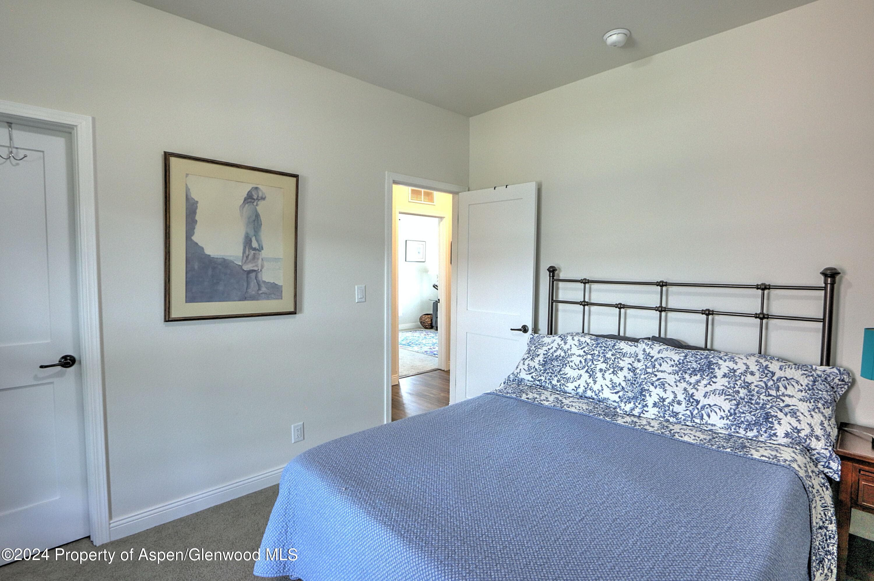 227 Lava Drive, ElJebel, CO 81623 - Photo 12