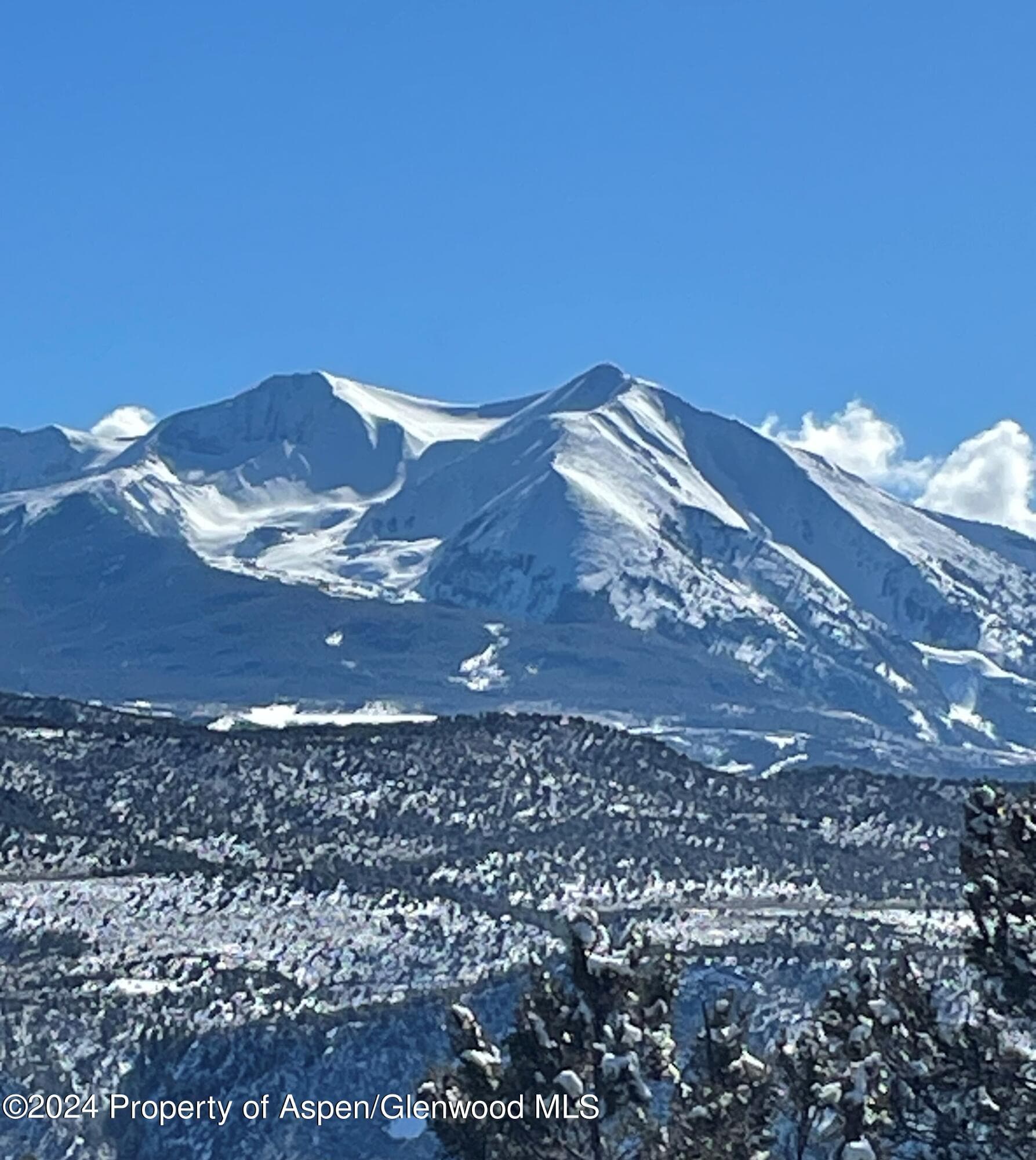 TBD County Road 100, Carbondale, CO 81623 - Photo 7