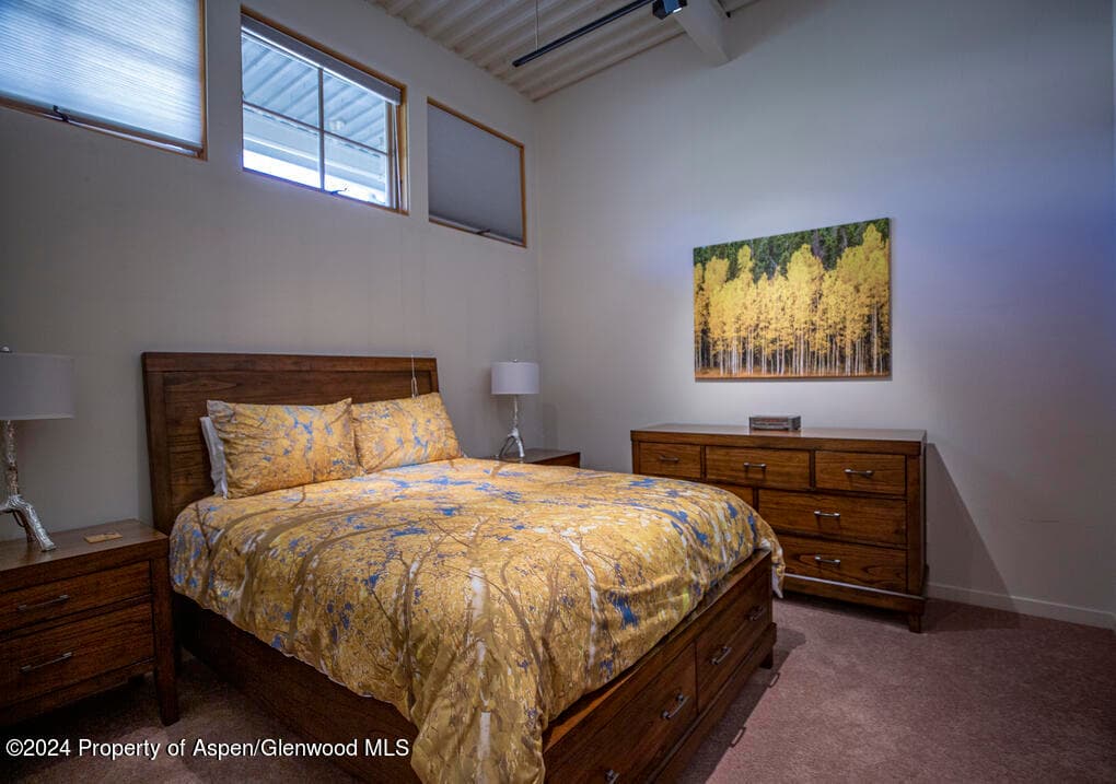 231 Robinson Street 330, Basalt, CO 81621 - Photo 14