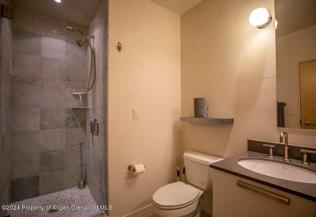231 Robinson Street 330, Basalt, CO 81621 - Photo 25