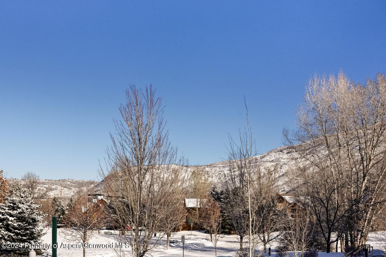 200 Evans Road 102, Basalt, CO 81621 - Photo 30