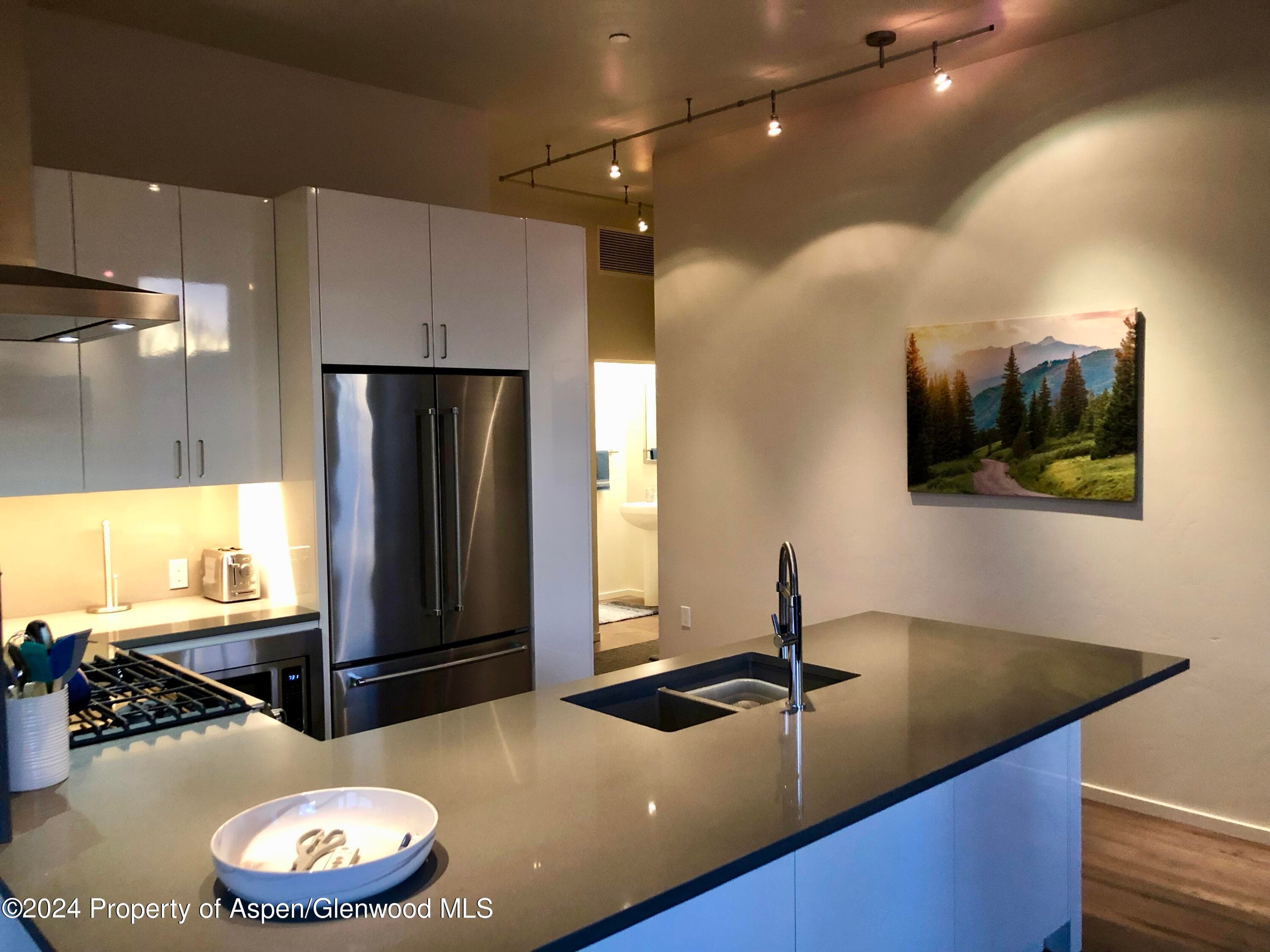200 Evans Road 102, Basalt, CO 81621 - Photo 5