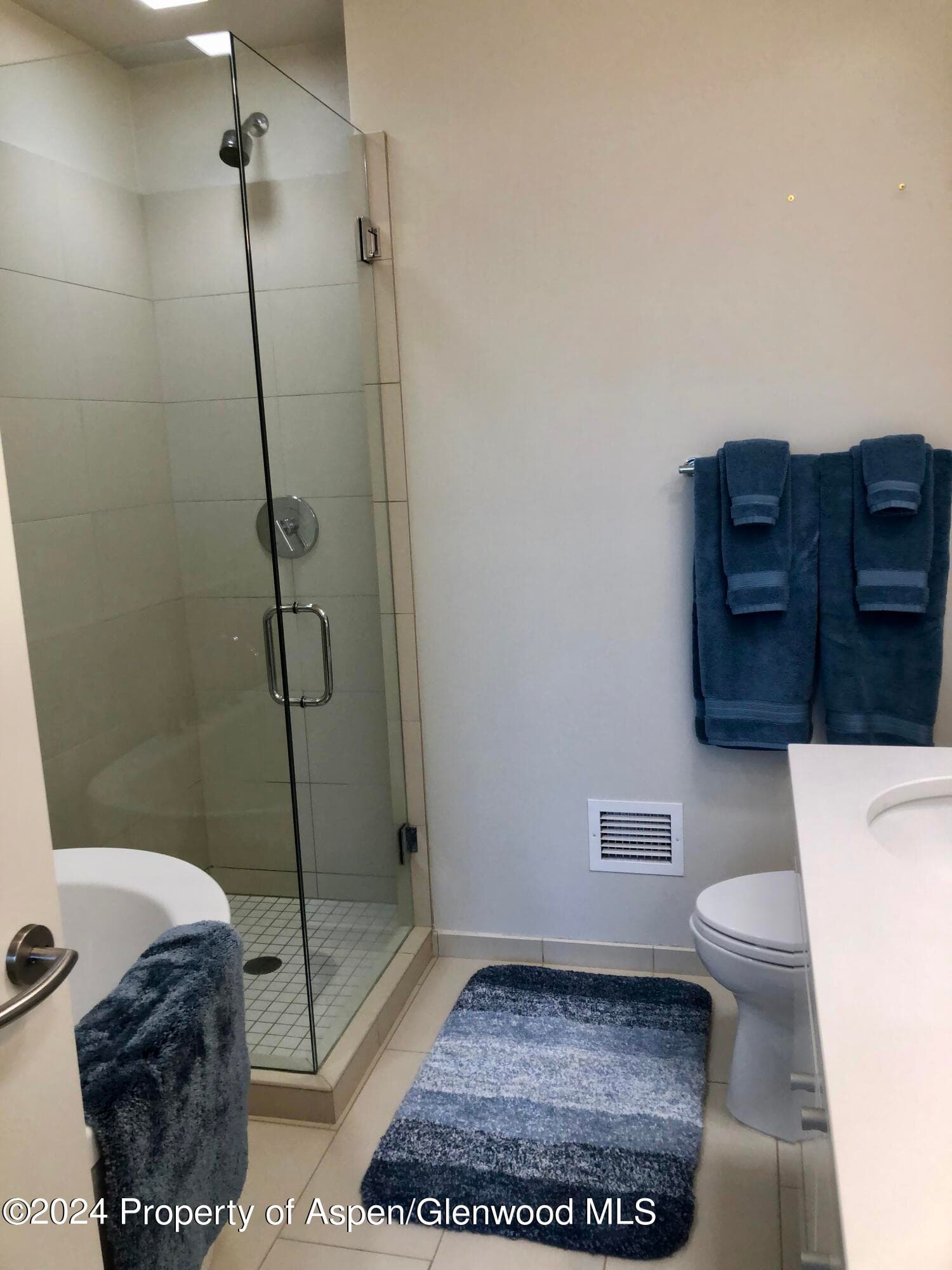 200 Evans Road 102, Basalt, CO 81621 - Photo 19