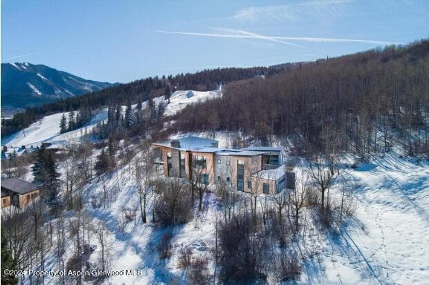 240 Buttermilk Lane, Aspen, CO 81611 - Photo 3