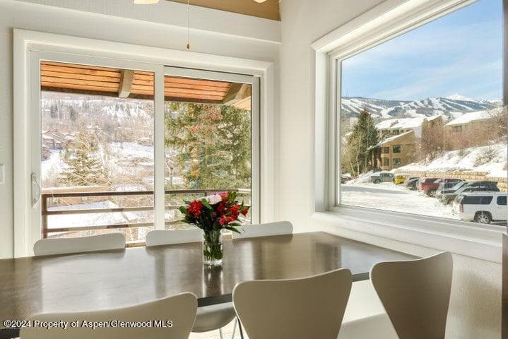 35 Lower Woodbridge Road 164, Snowmass Village, CO 81615 - Photo 5