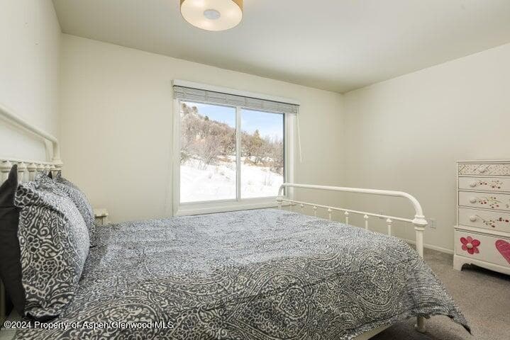 35 Lower Woodbridge Road 164, Snowmass Village, CO 81615 - Photo 7