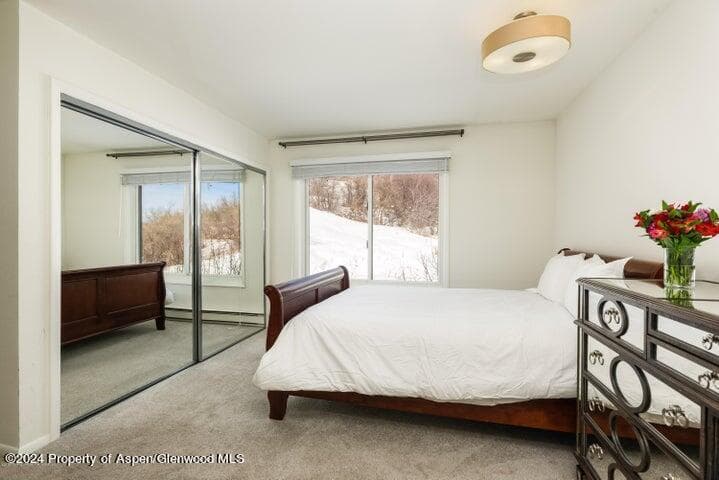 35 Lower Woodbridge Road 164, Snowmass Village, CO 81615 - Photo 8