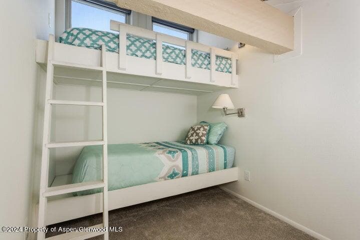 35 Lower Woodbridge Road 164, Snowmass Village, CO 81615 - Photo 10
