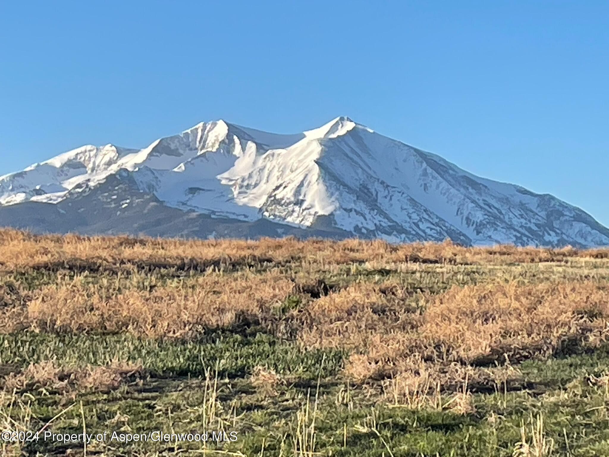 TBD County Road 100, Carbondale, CO 81623 - Photo 11