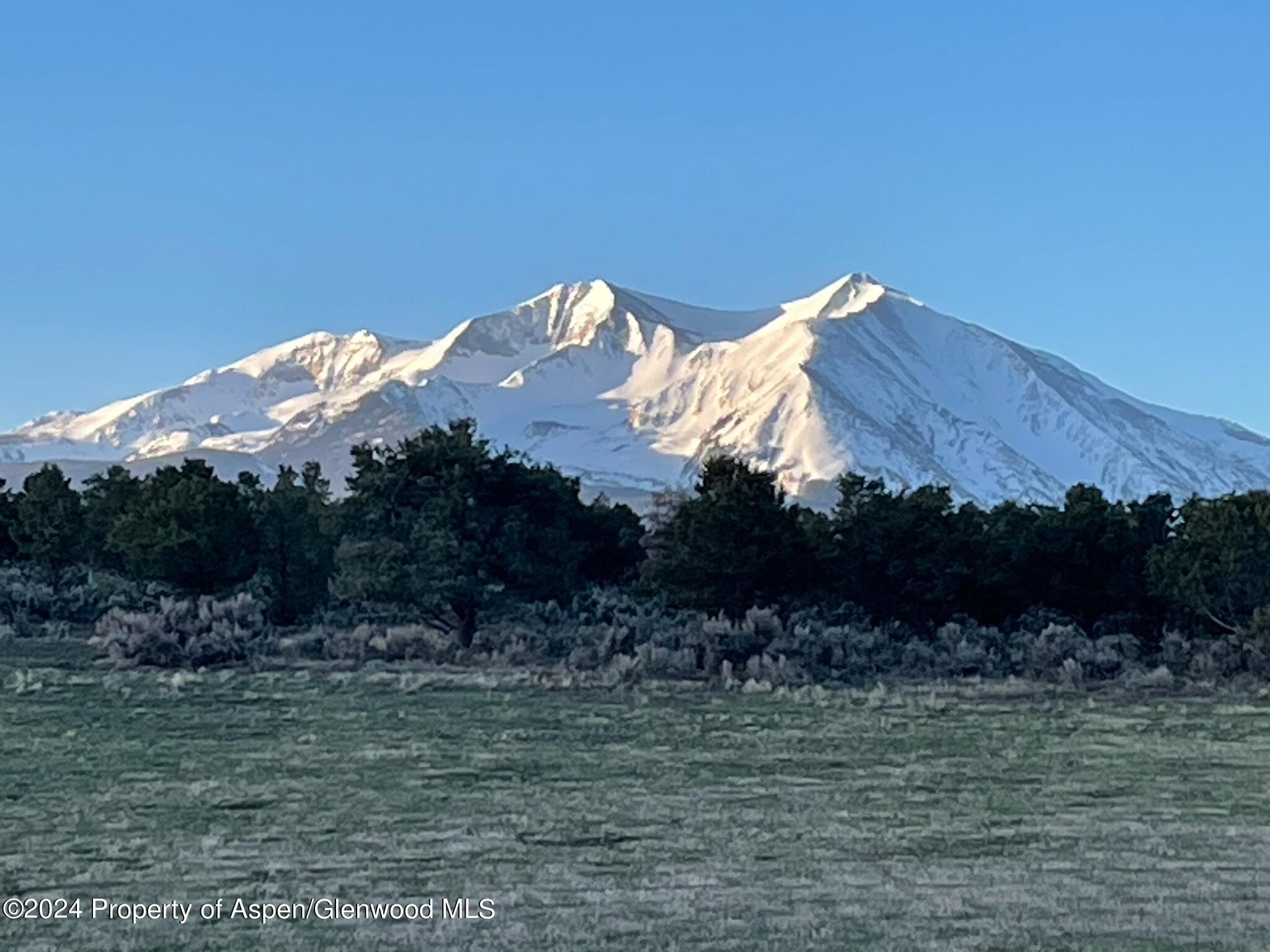 TBD County Road 100, Carbondale, CO 81623 - Photo 12