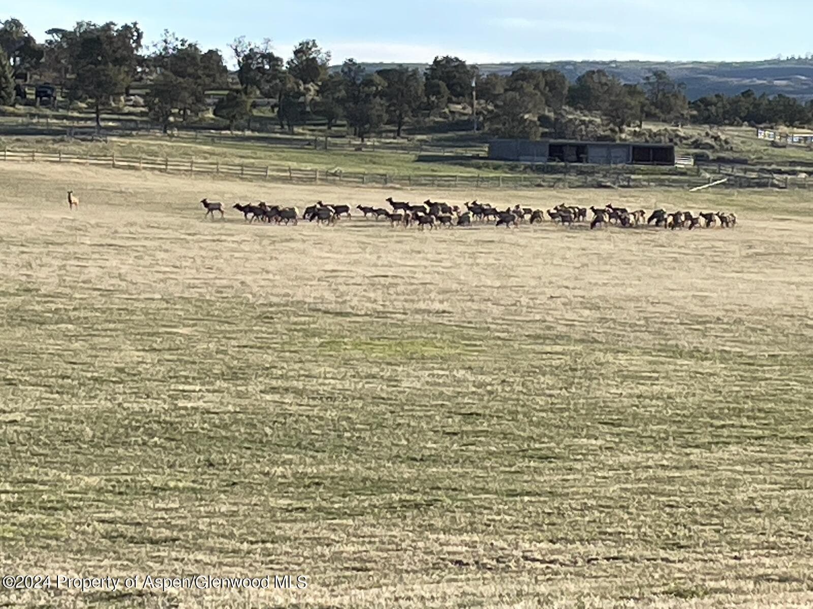 TBD County Road 100, Carbondale, CO 81623 - Photo 15