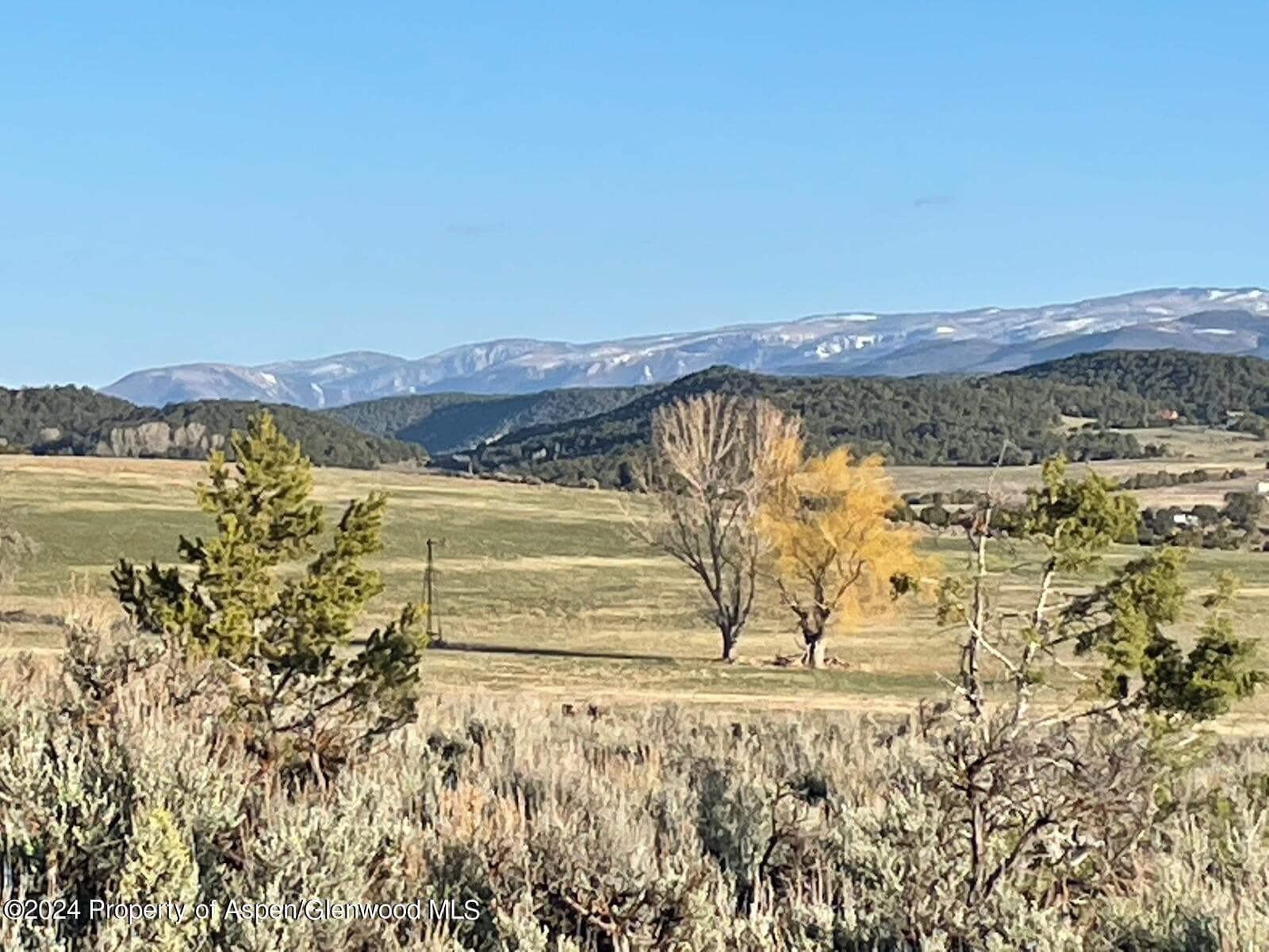 TBD County Road 100, Carbondale, CO 81623 - Photo 14