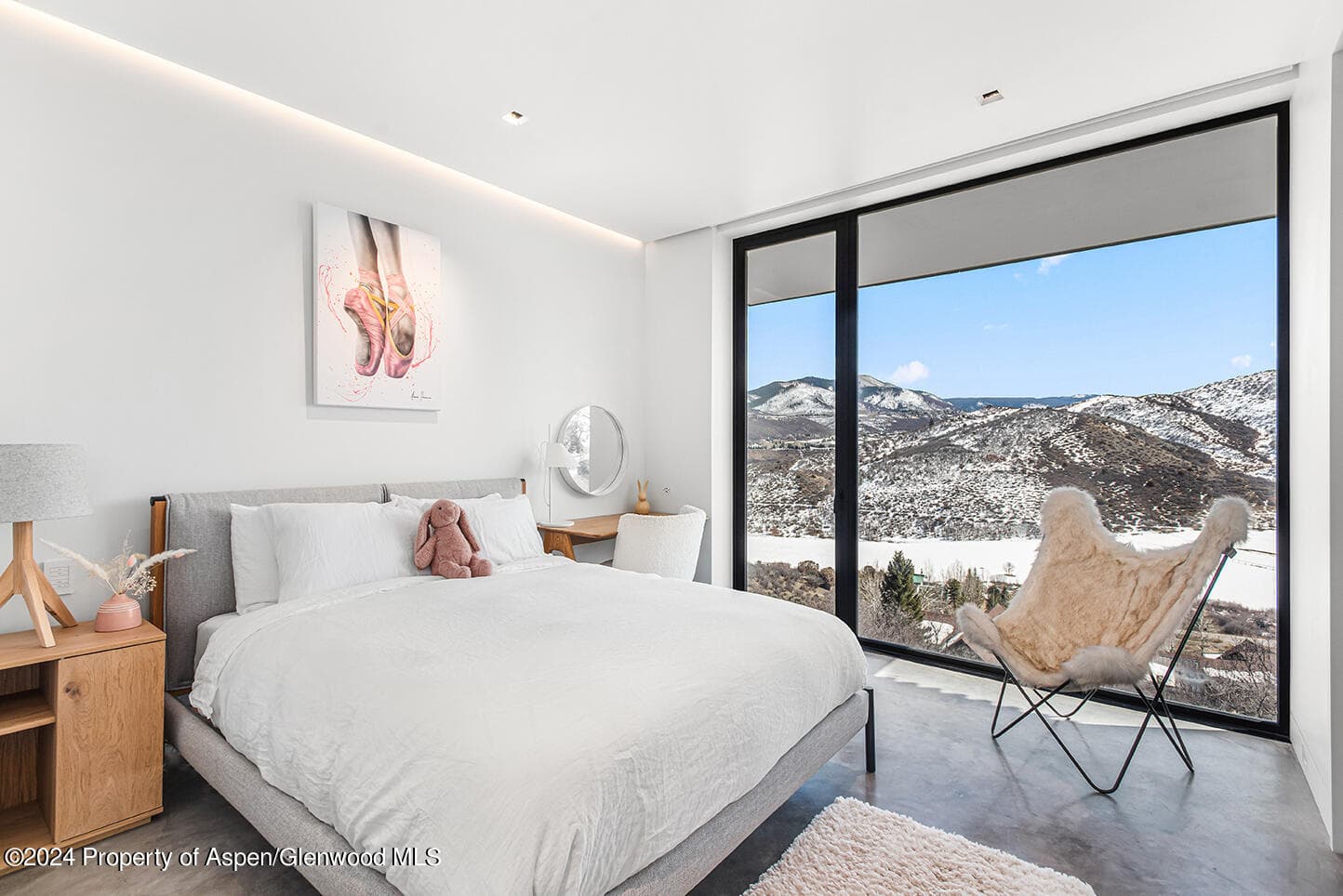 580 Medicine Bow Road, Aspen, CO 81611 - Photo 5
