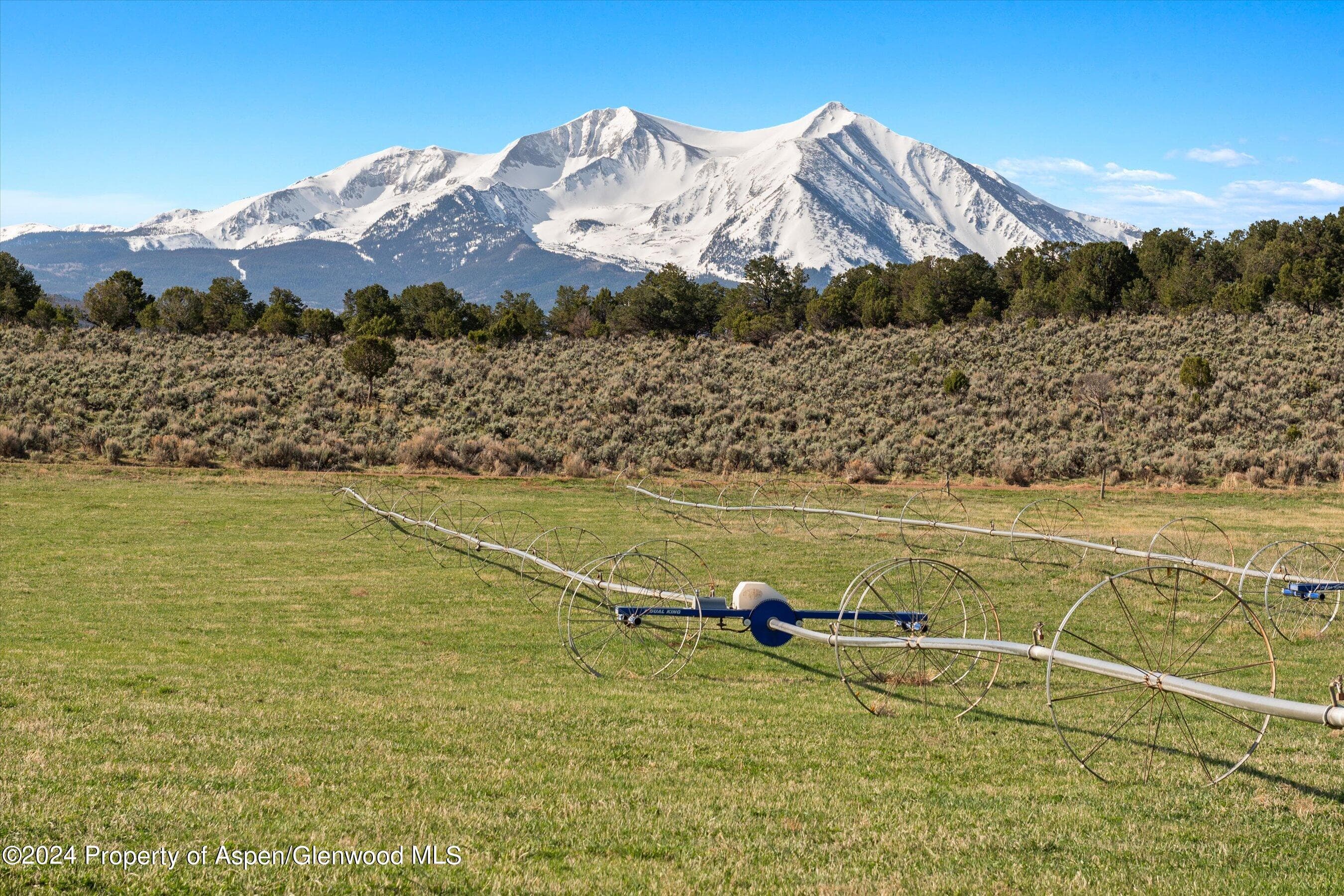 TBD County Road 100, Carbondale, CO 81623 - Photo 12