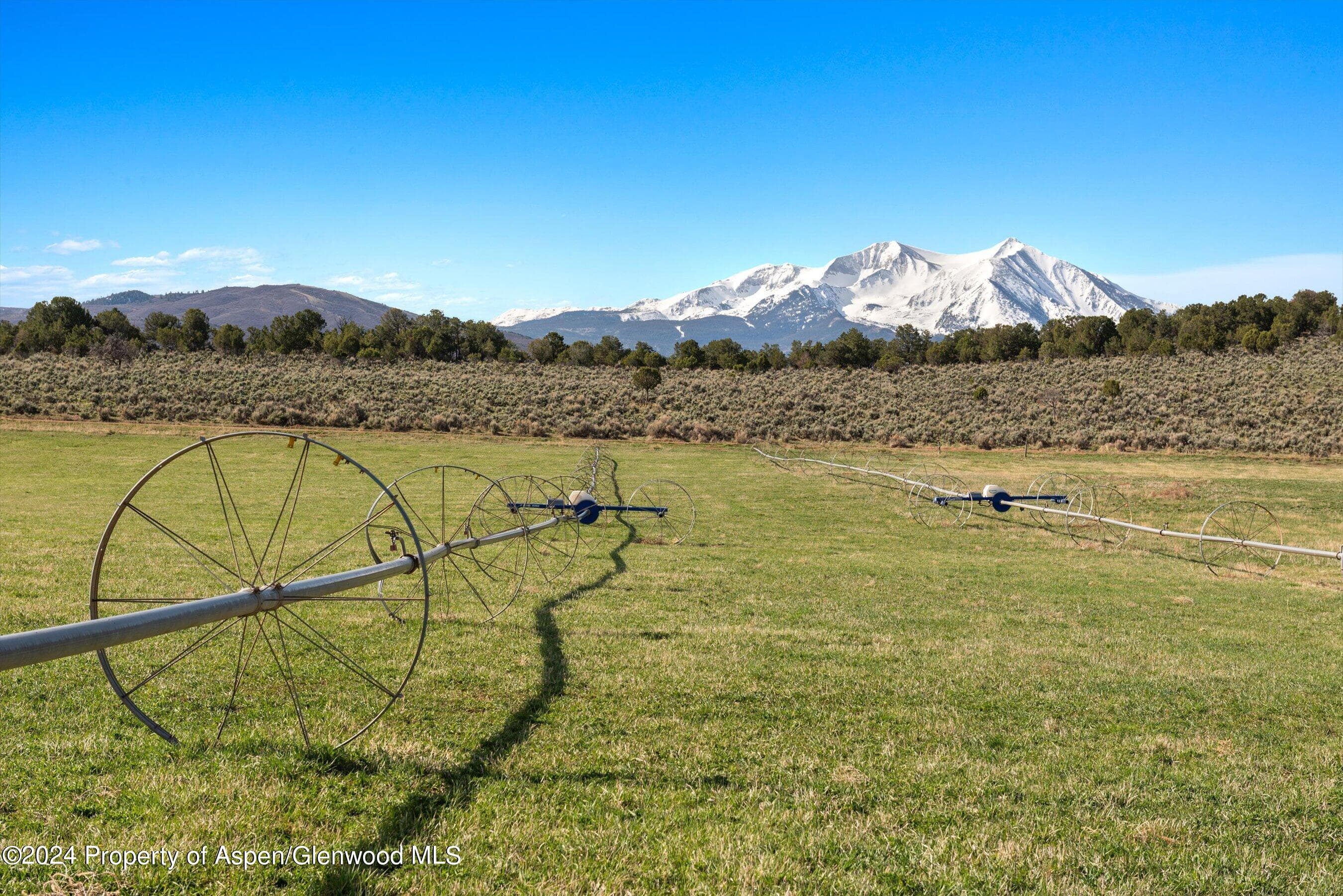 TBD County Road 100, Carbondale, CO 81623 - Photo 14
