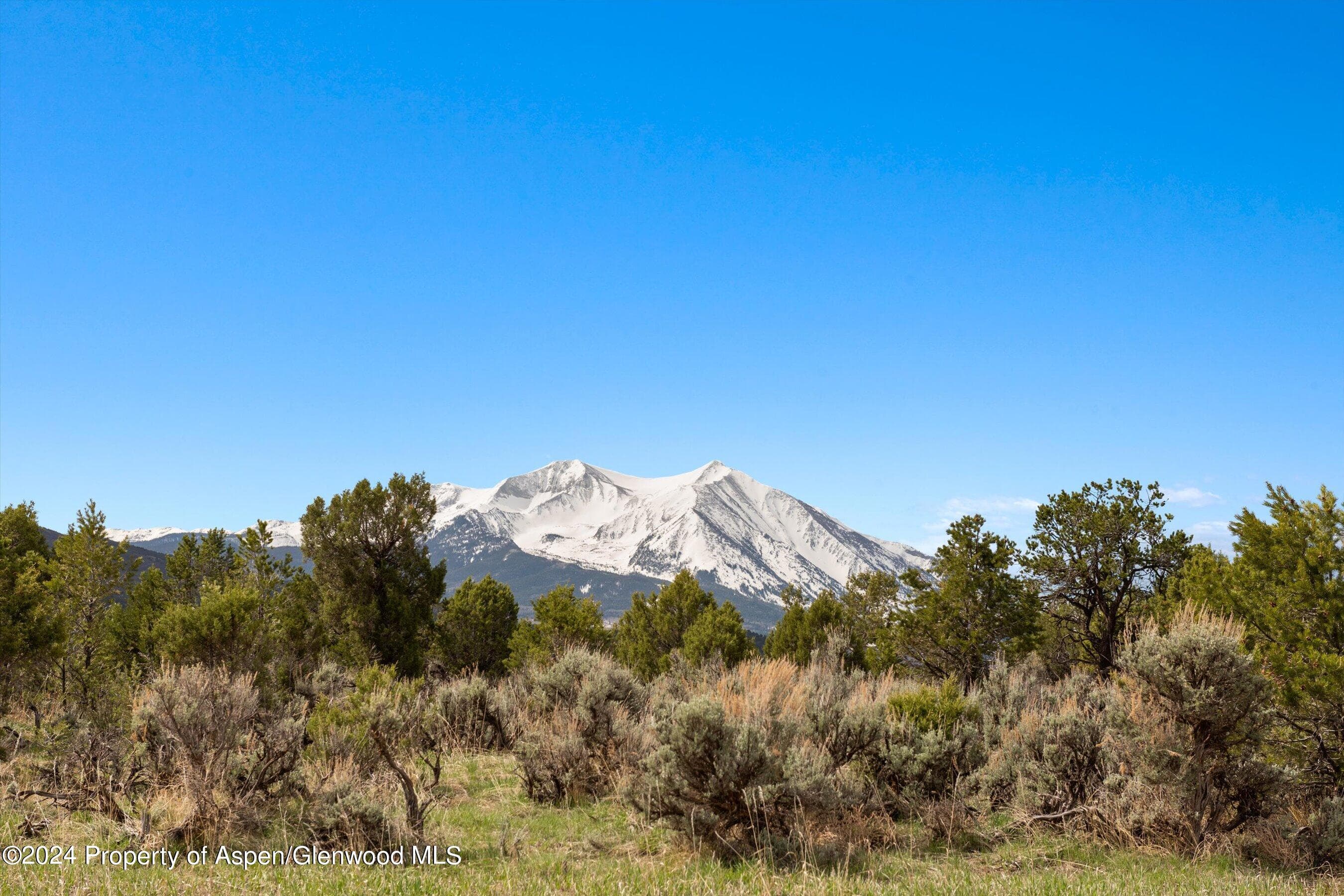 TBD County Road 100, Carbondale, CO 81623 - Photo 17