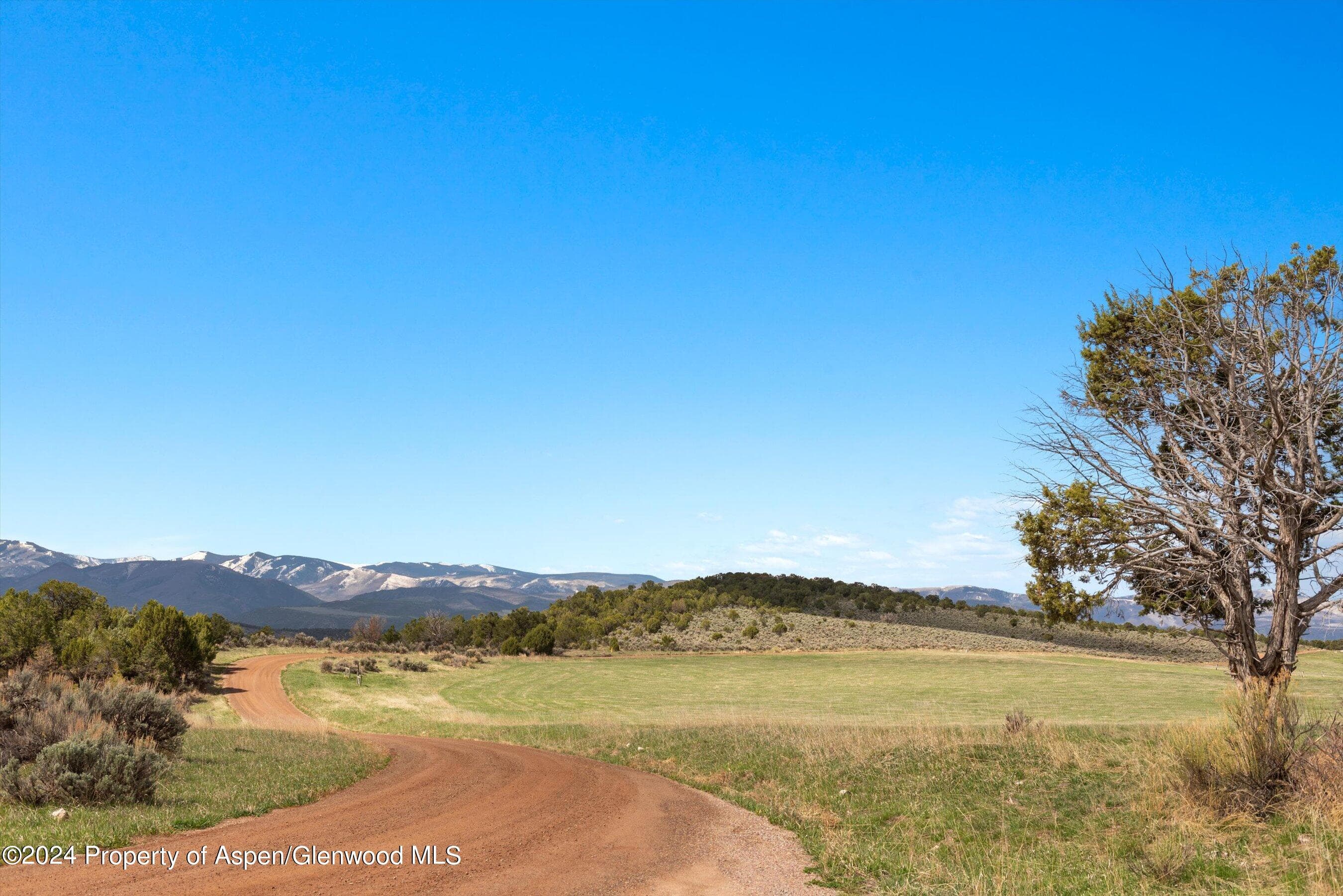 TBD County Road 100, Carbondale, CO 81623 - Photo 19