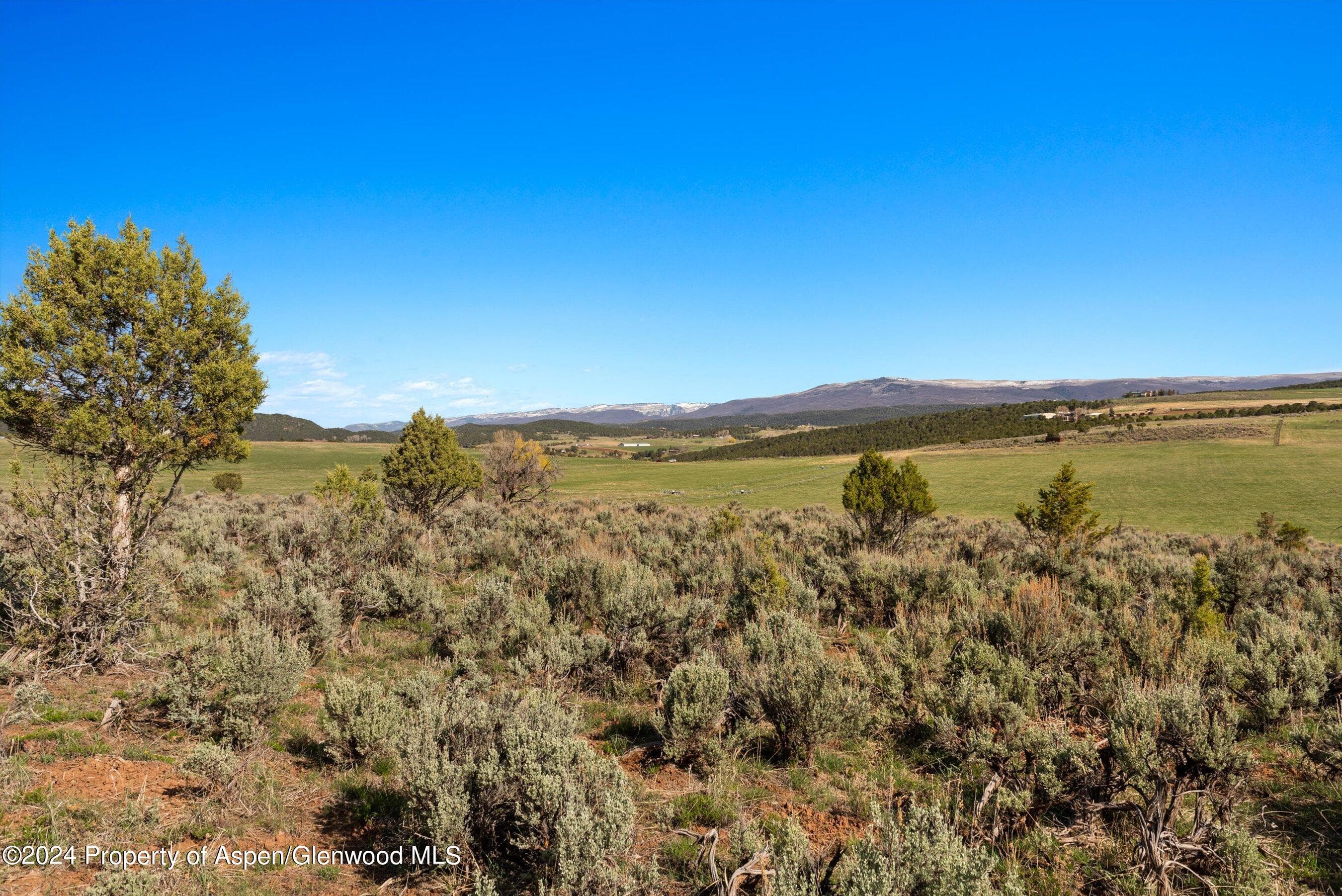 TBD County Road 100, Carbondale, CO 81623 - Photo 26