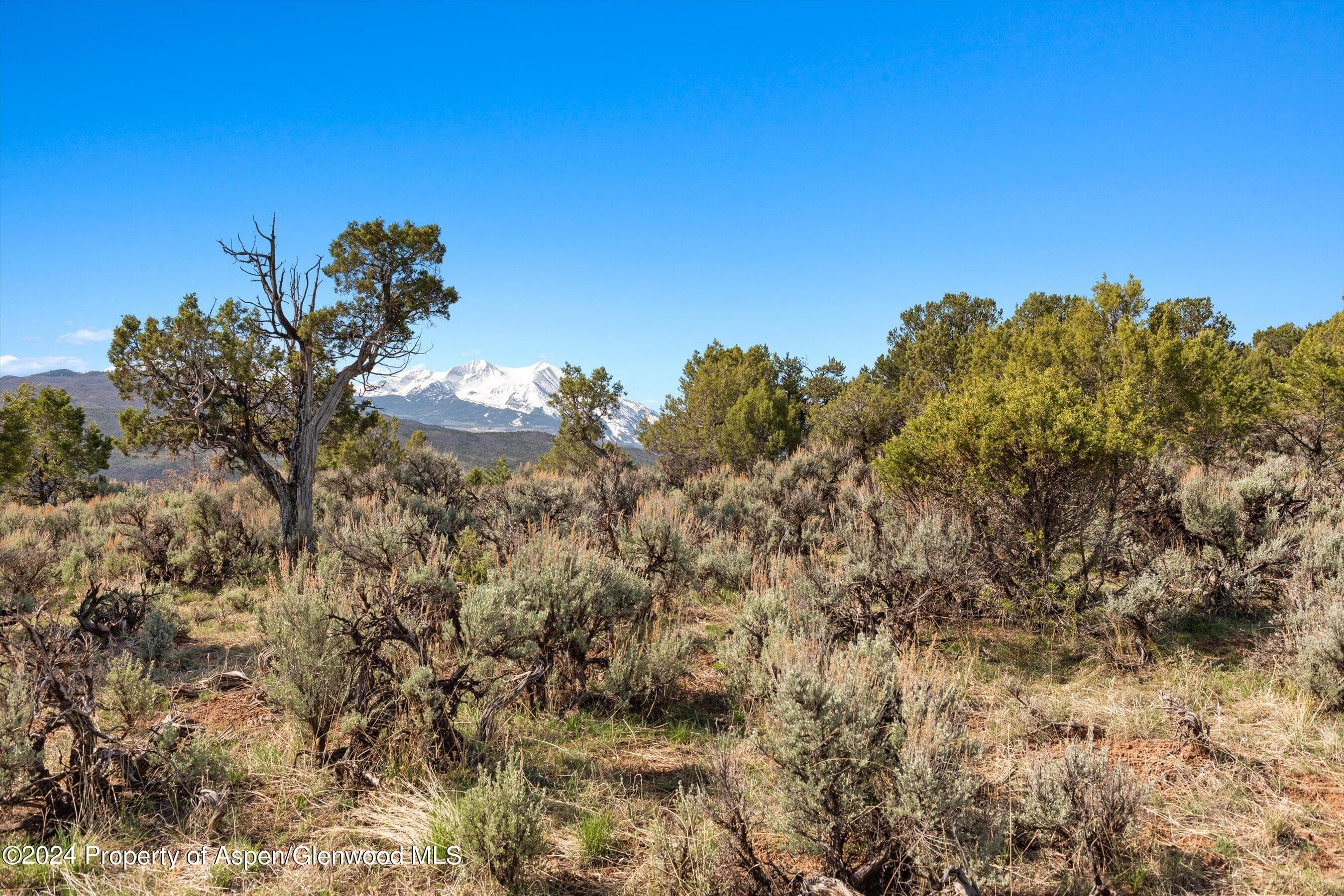 TBD County Road 100, Carbondale, CO 81623 - Photo 31
