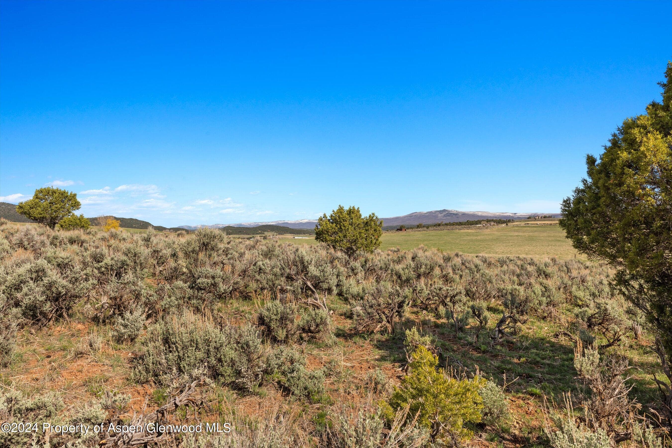 TBD County Road 100, Carbondale, CO 81623 - Photo 32