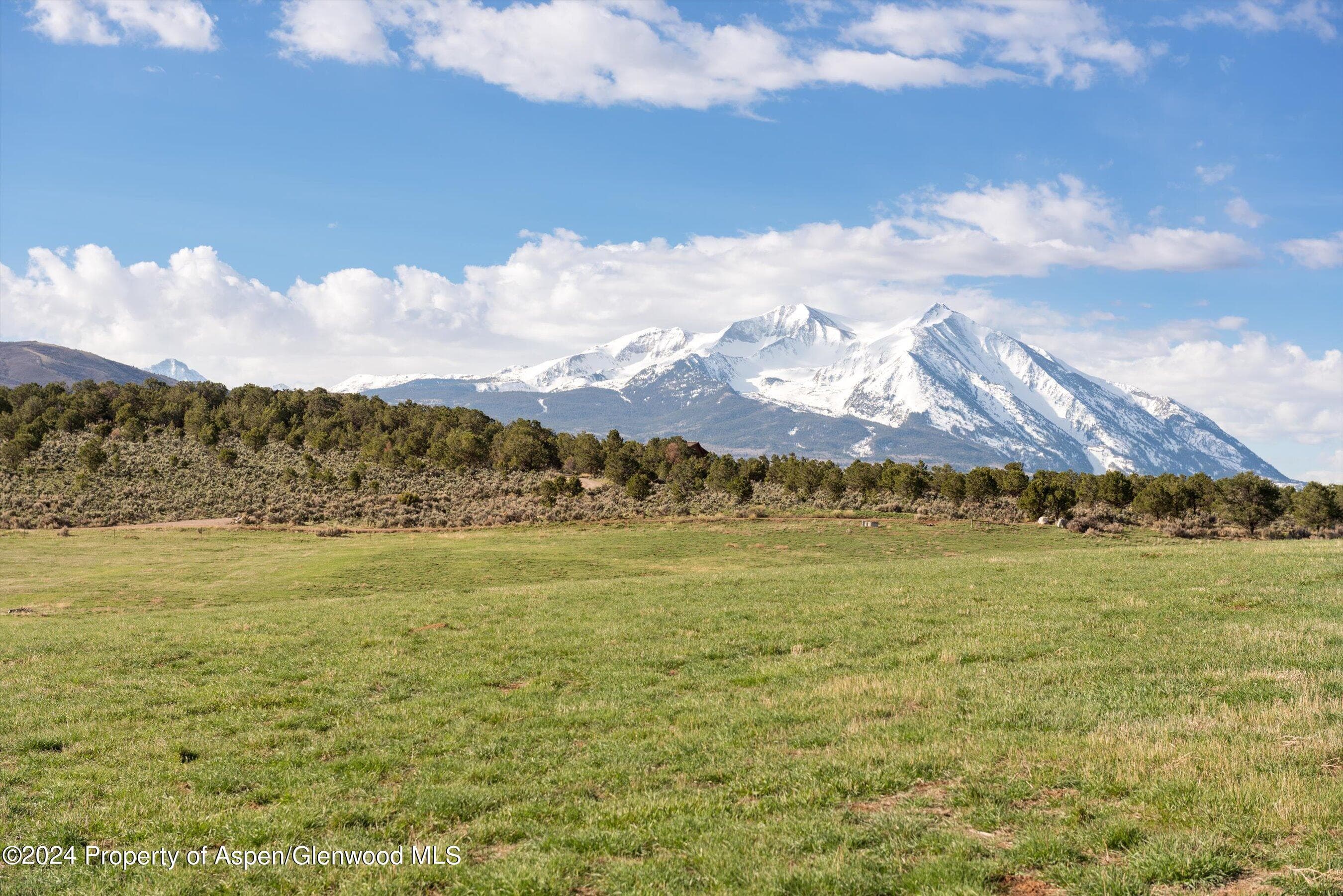 TBD County Road 100, Carbondale, CO 81623 - Photo 4