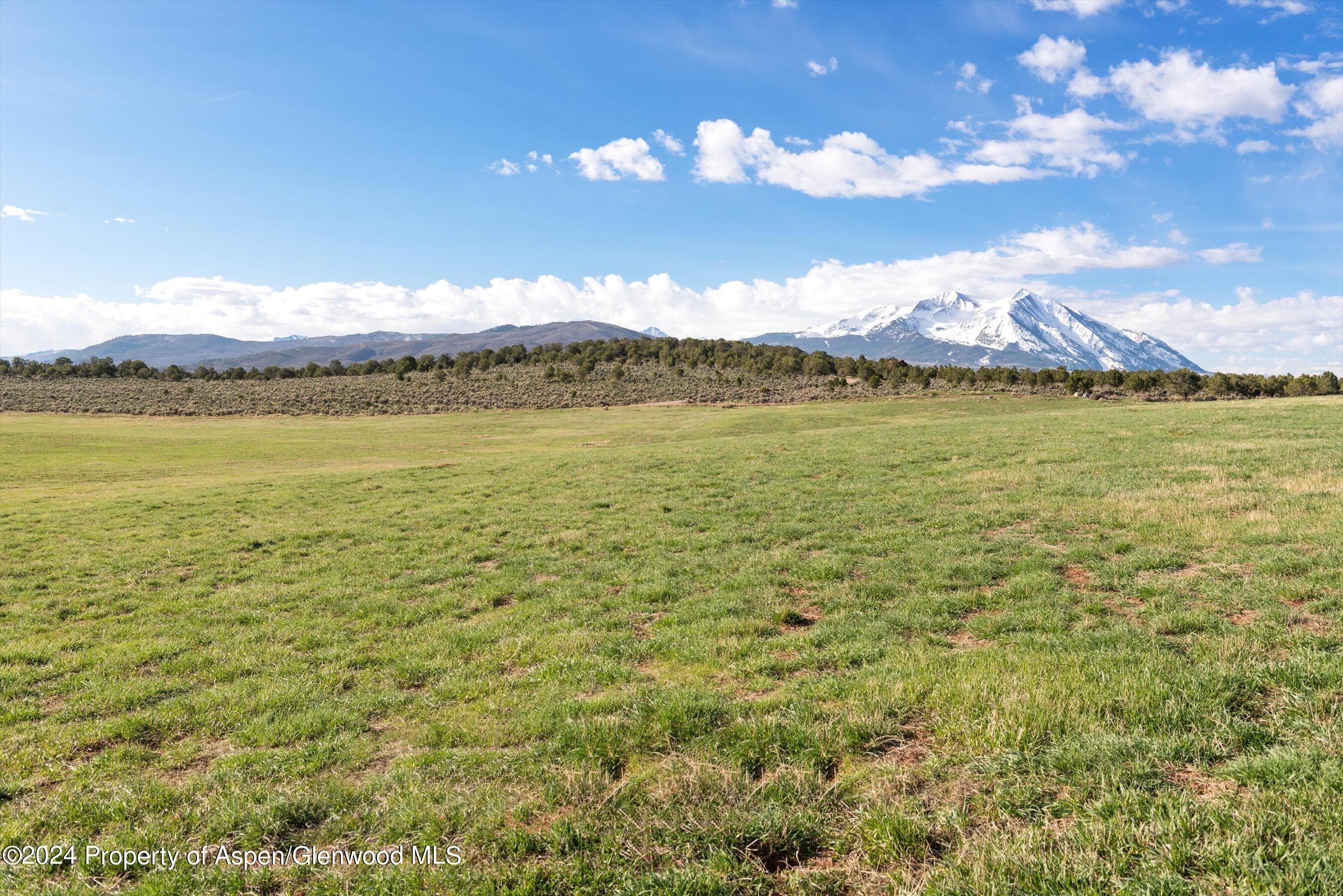TBD County Road 100, Carbondale, CO 81623 - Photo 22