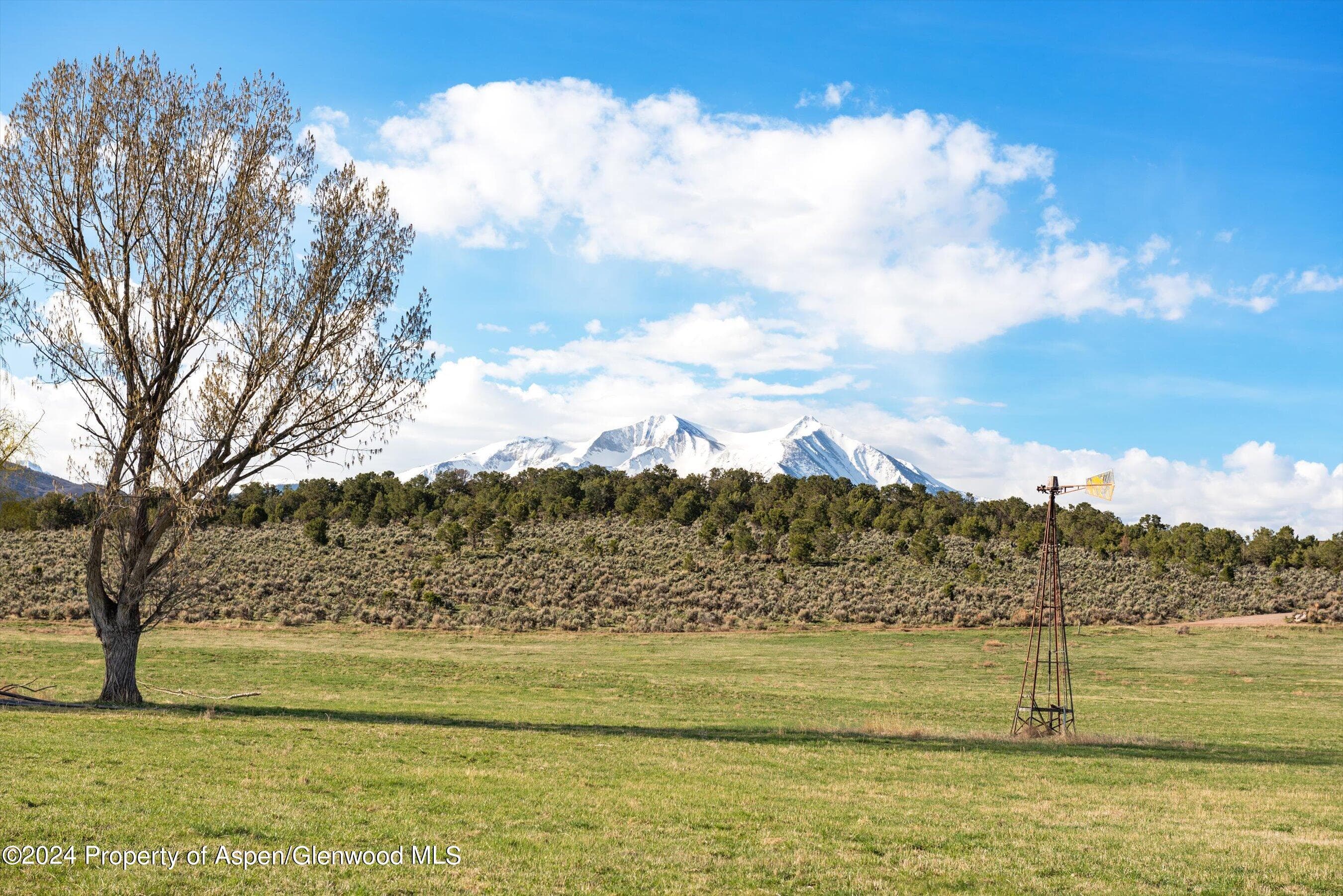 TBD County Road 100, Carbondale, CO 81623 - Photo 27