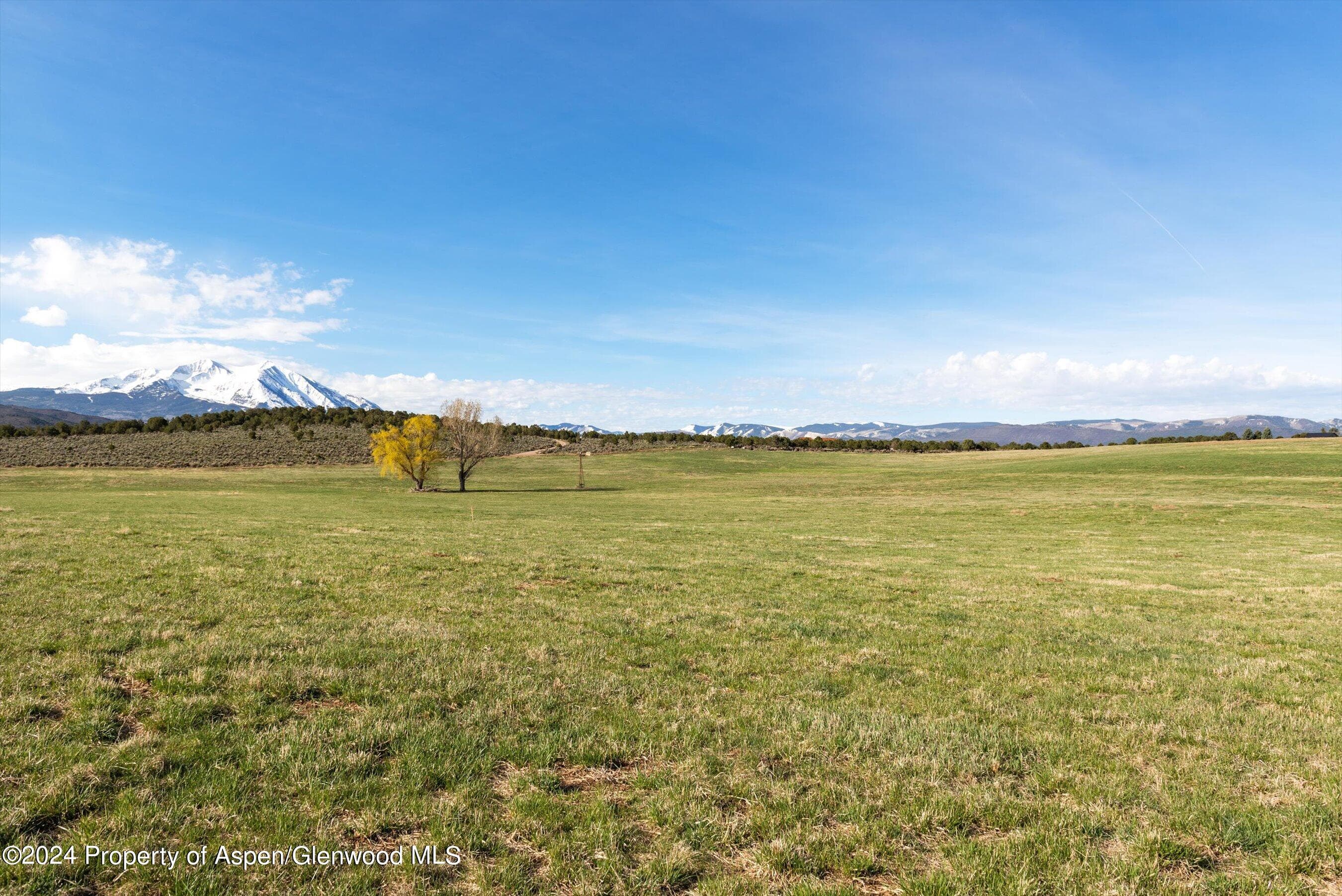 TBD County Road 100, Carbondale, CO 81623 - Photo 29