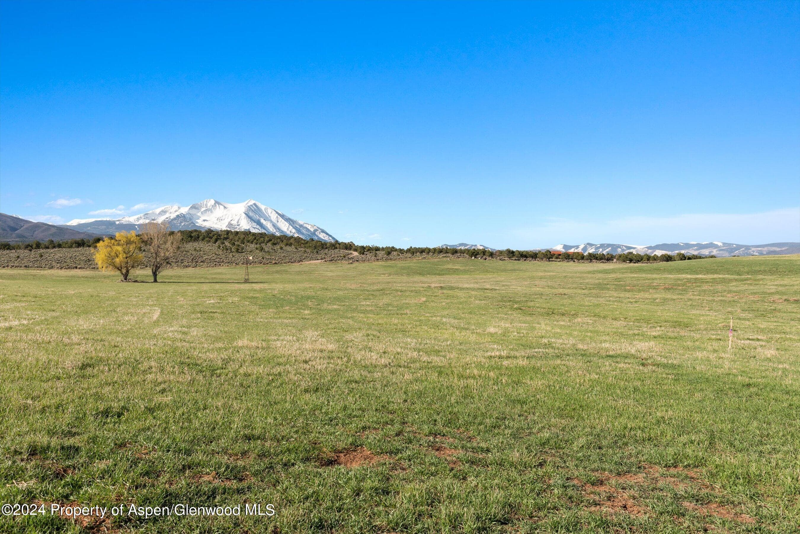 TBD County Road 100, Carbondale, CO 81623 - Photo 30