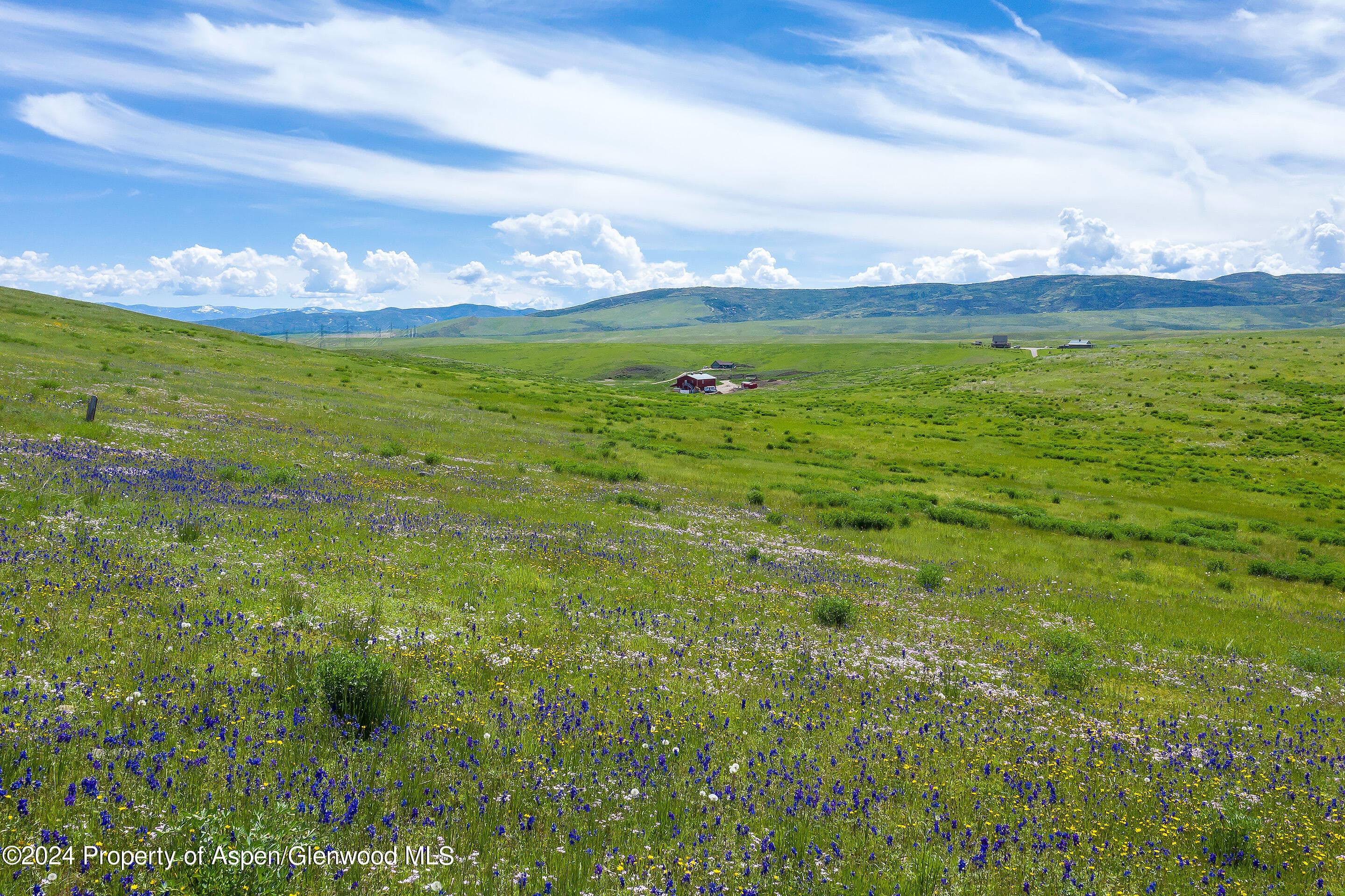 35555 County Road 59, Hayden, CO 81639 - Photo 2