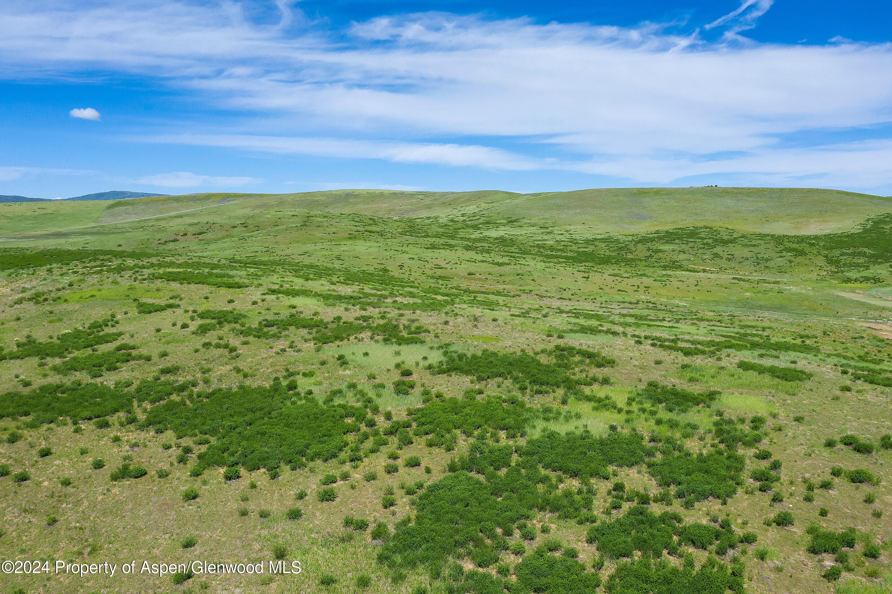 35555 County Road 59, Hayden, CO 81639 - Photo 5
