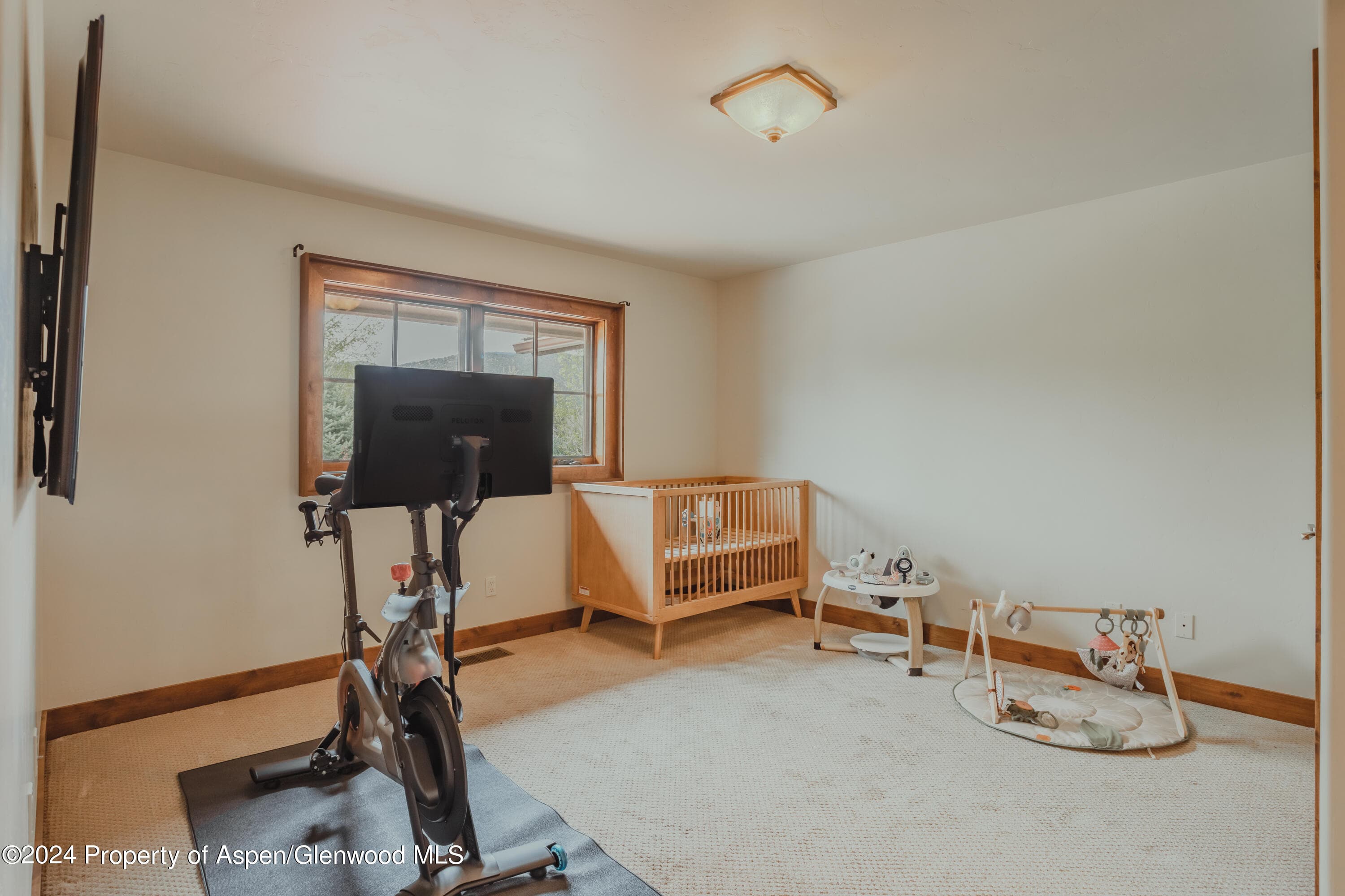 76 Upland Lane, Carbondale, CO 81623 - Photo 33