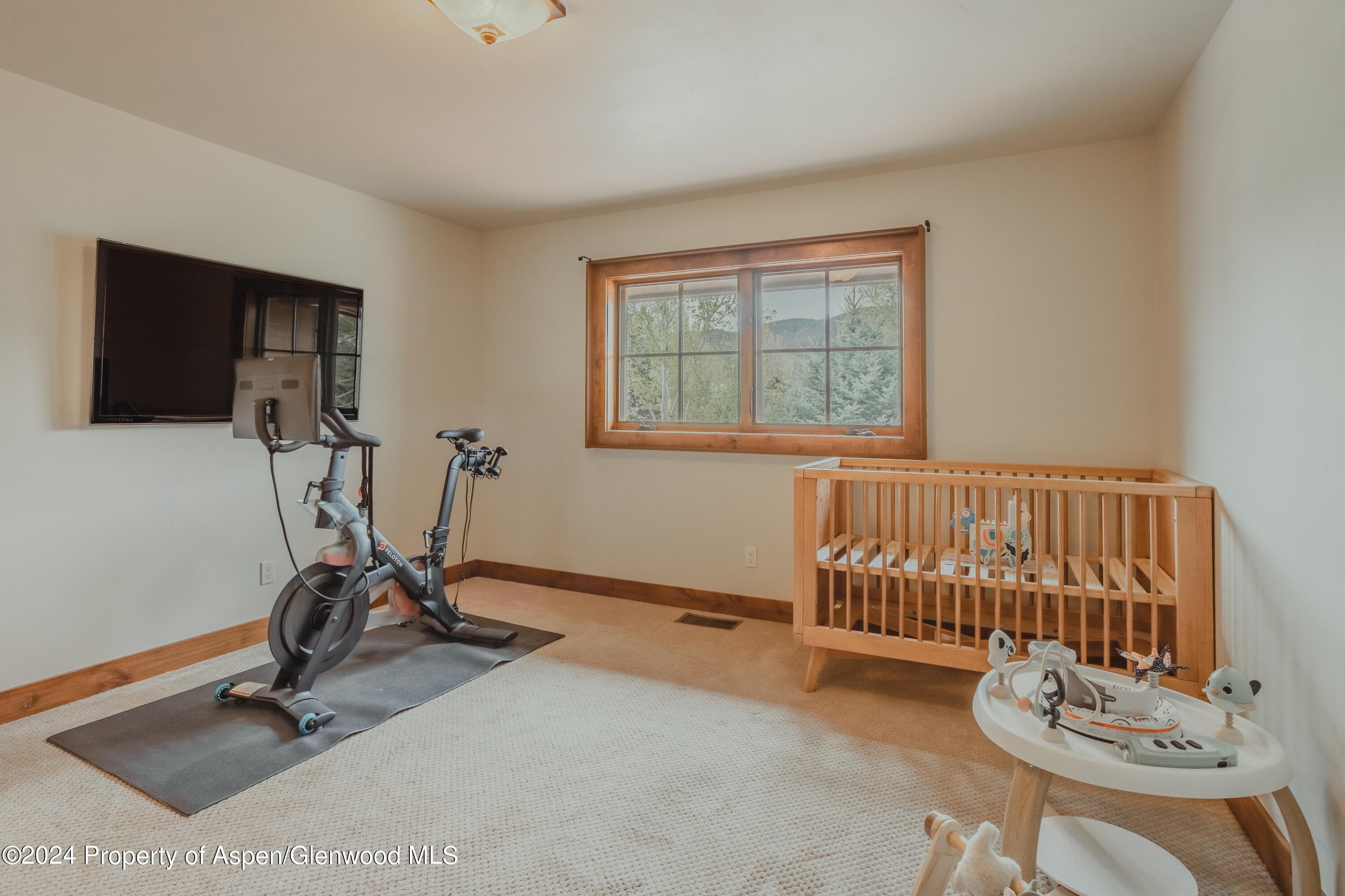 76 Upland Lane, Carbondale, CO 81623 - Photo 34