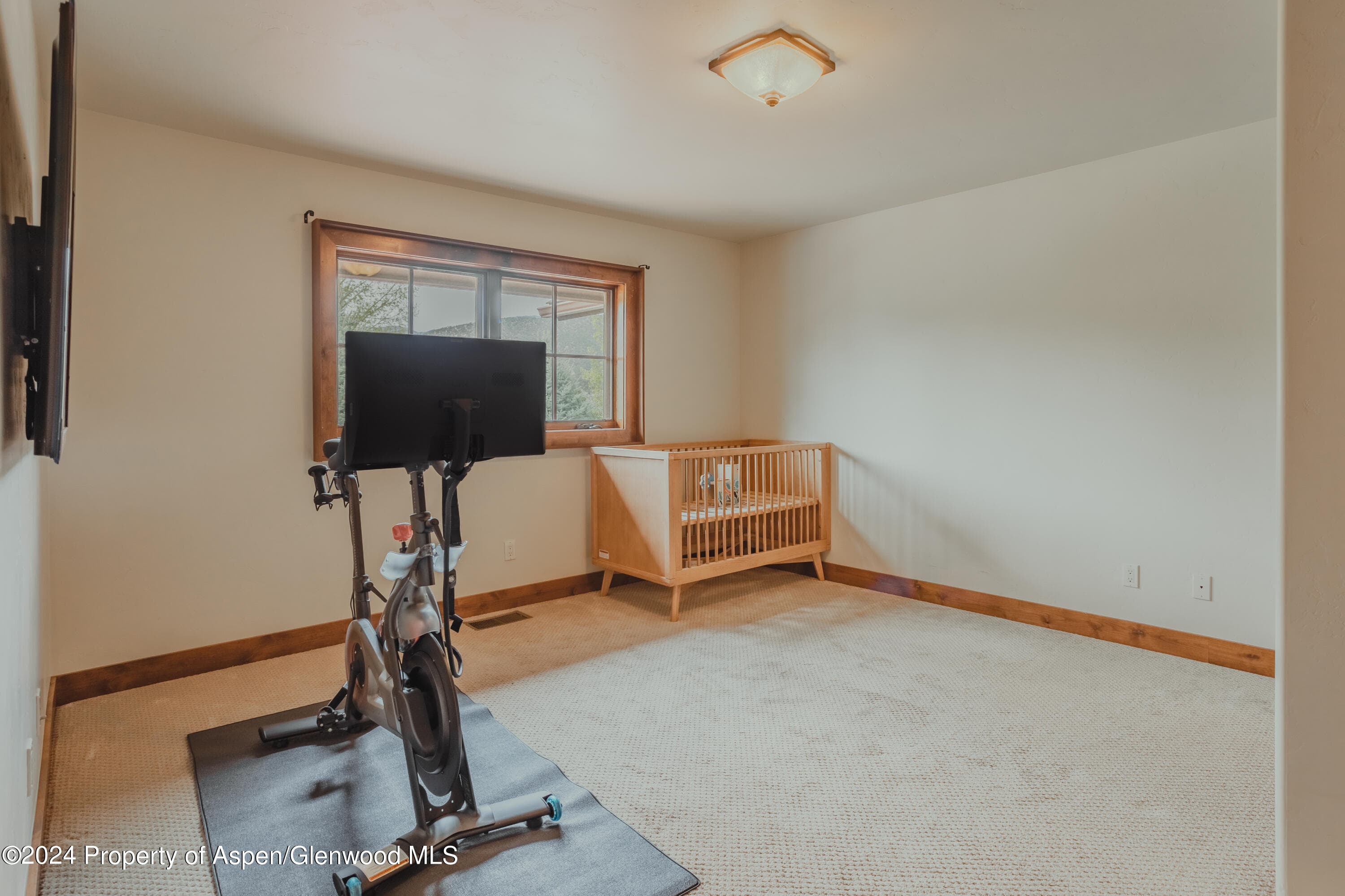 76 Upland Lane, Carbondale, CO 81623 - Photo 35