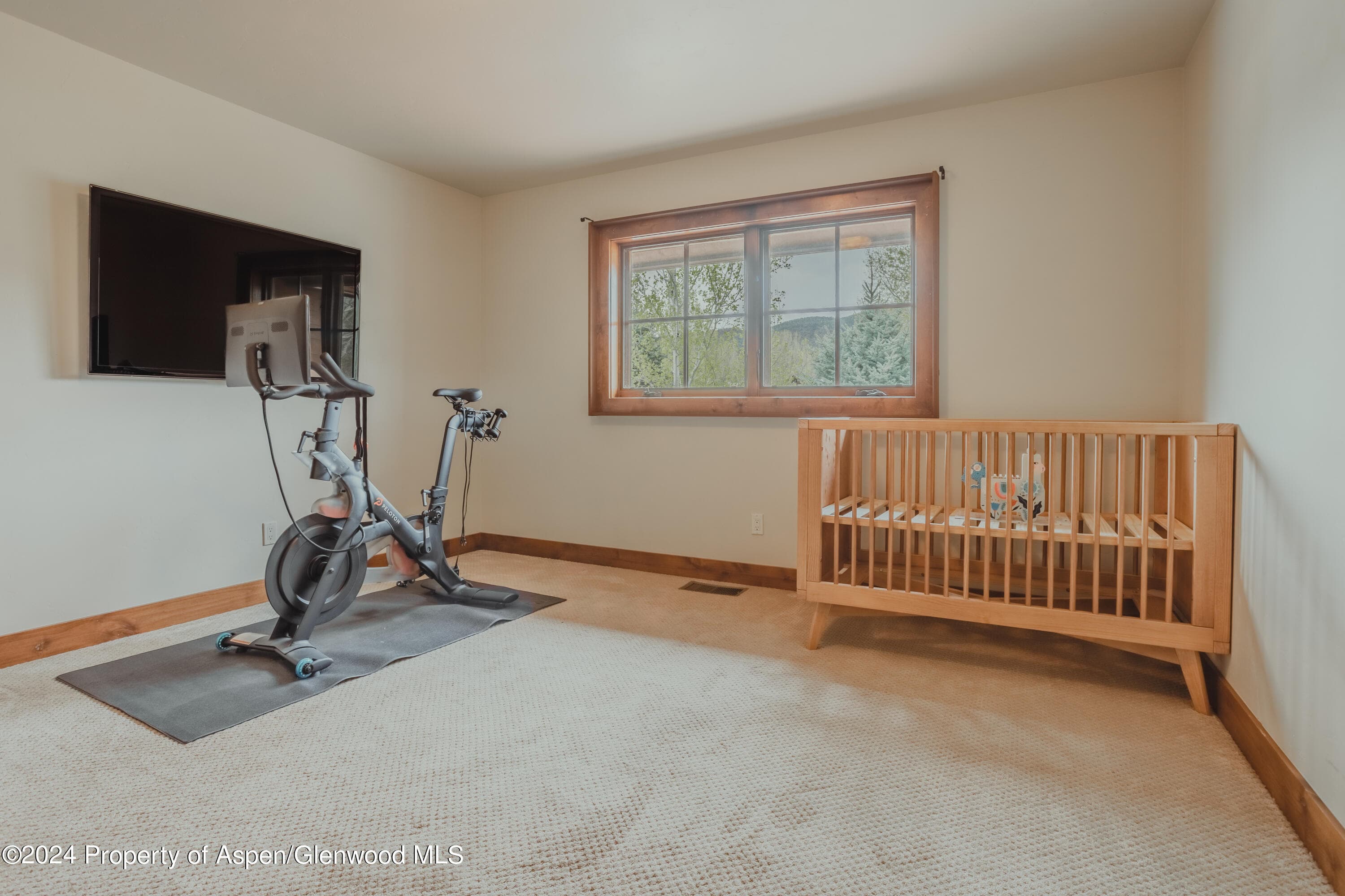 76 Upland Lane, Carbondale, CO 81623 - Photo 36