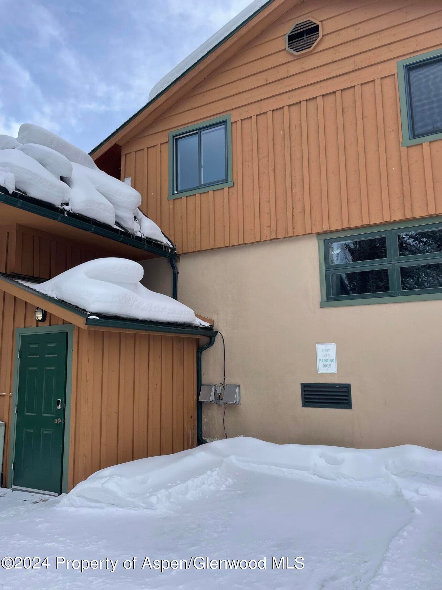 914 Waters Avenue P1, Aspen, CO 81611